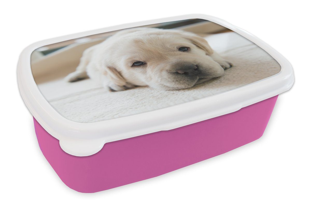 MuchoWow Lunchbox Eine Nahaufnahme eines müden Labrador-Welpen, Kunststoff, (2-tlg), Brotbox für Erwachsene, Brotdose Kinder, Snackbox, Mädchen, Kunststoff rosa