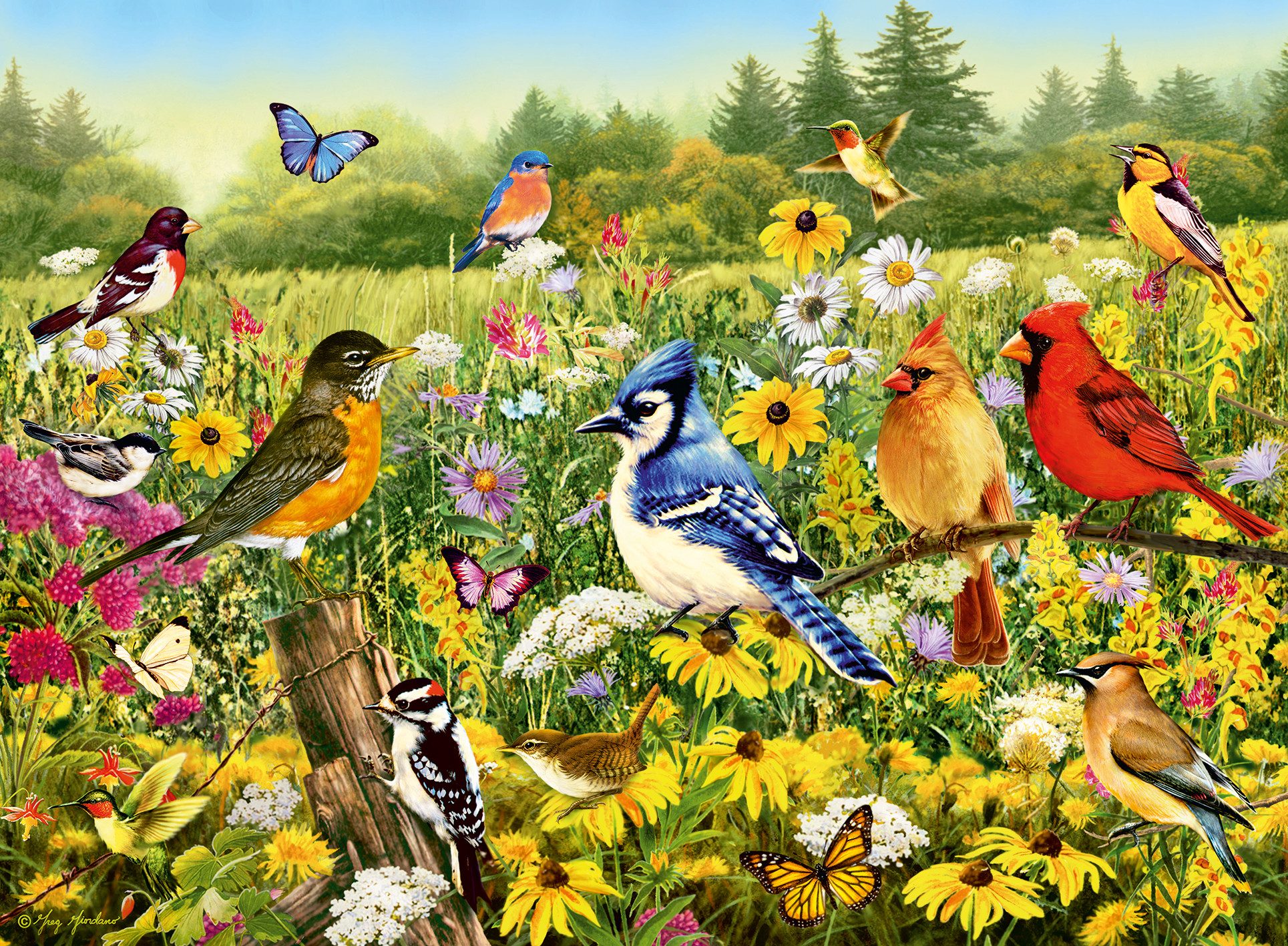 Ravensburger Puzzle Vogelwiese, 500 Puzzleteile, Made in Germany günstig online kaufen
