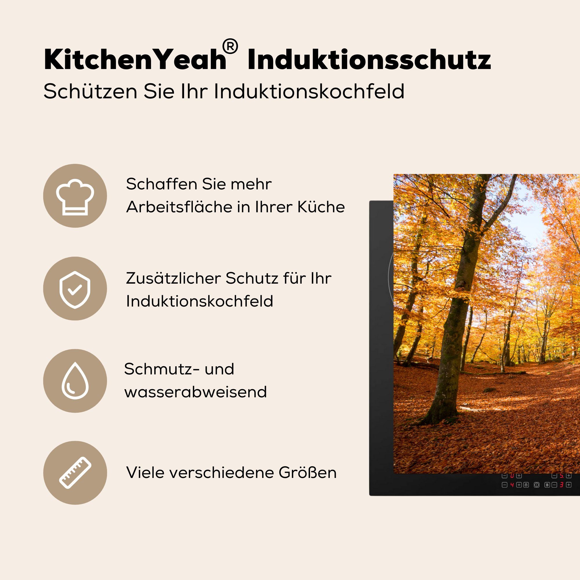 MuchoWow Herdblende-/Abdeckplatte Induktionskochfeld 81x52 für Ceranfeldabdeckung Buchenwald Schutz cm, (1 die küche, tlg), Vinyl, mit Herbstfarben