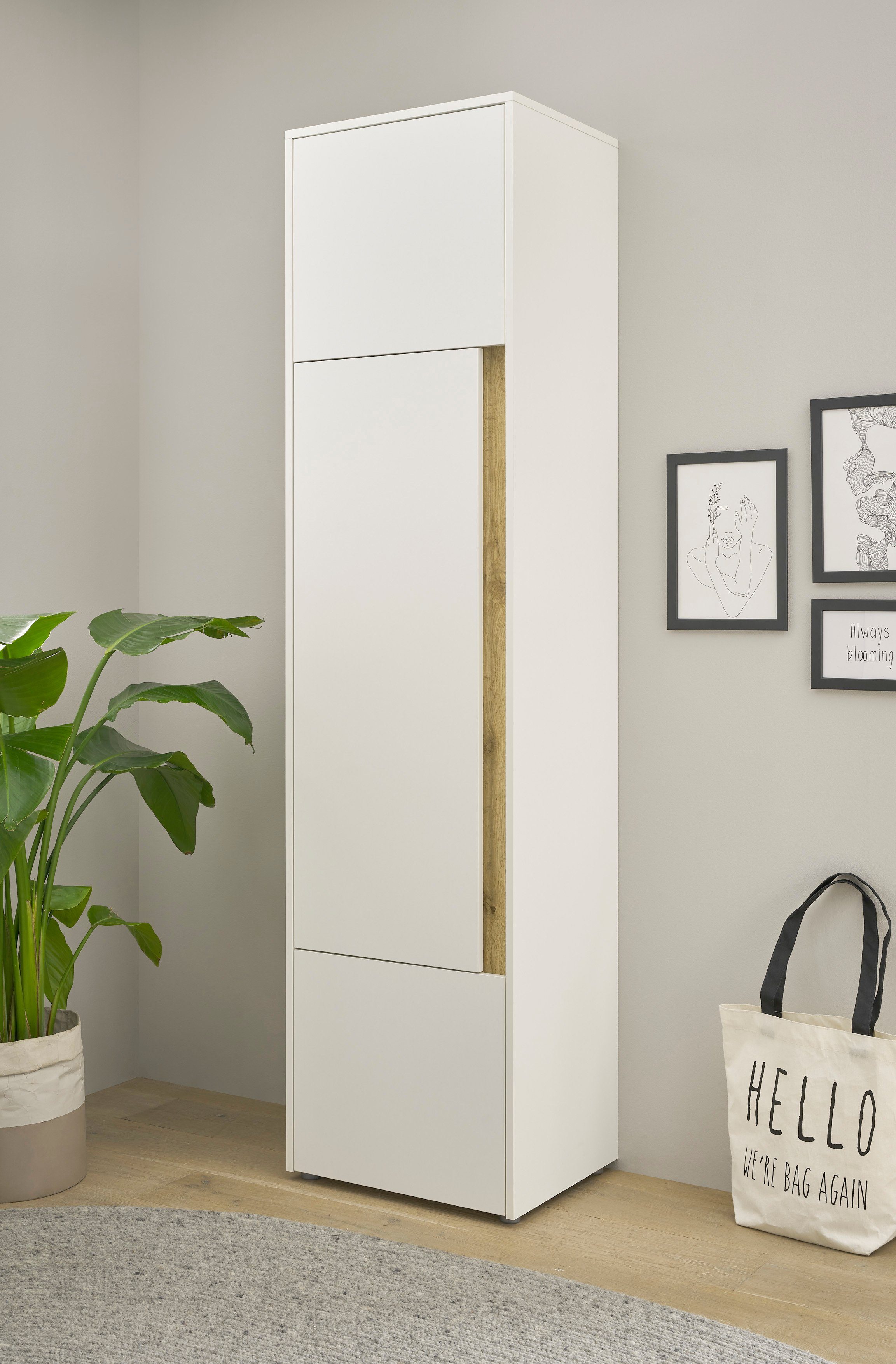Home affaire Aktenschrank CiTY/GiRON Stauraumschrank zeitlos modern, wohnliches Home Office, Breite 50 cm