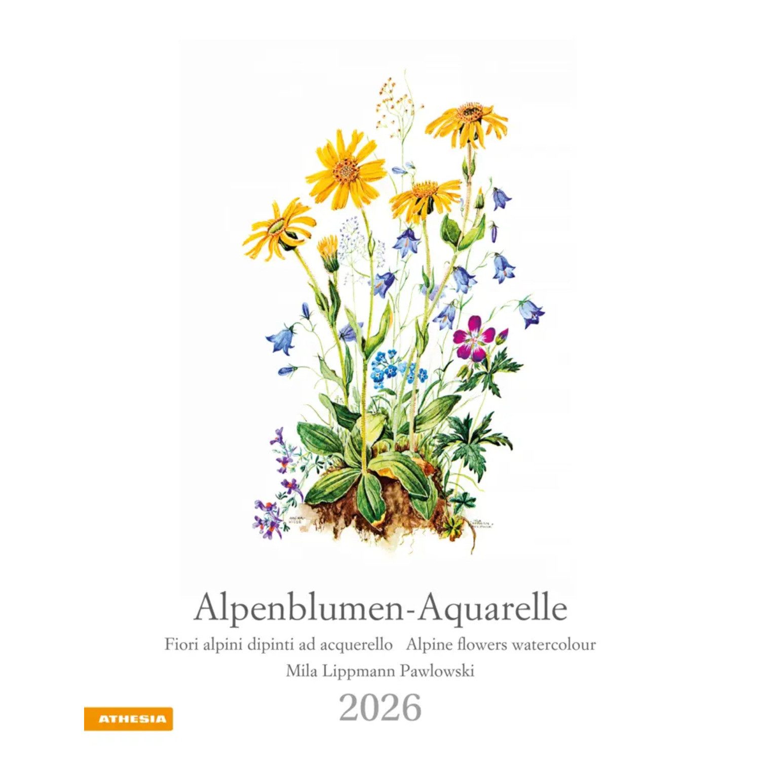 Wandkalender Alpenblumen-Aquarelle Календари 2026