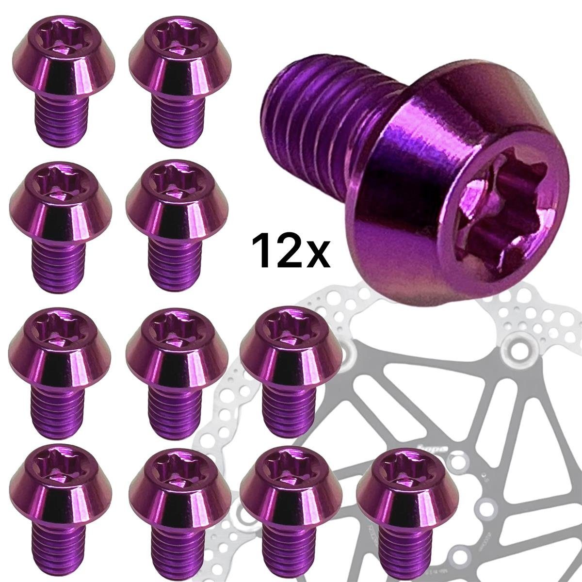 Fantic26 Scheibenbremse Titan M5x8 Torx Disc SL Schrauben (12er Set) Lila