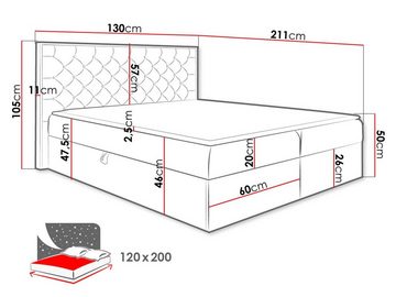 MIRJAN24 Boxspringbett Wood 3 (mit Hauptmatratze, Topper, Kopfteil), 120, 140, 160, 180, 200 / 200 cm, mit zwei Bettkästen