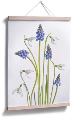 Wall-Art Poster Frühjahrsblüher, Blumen (1 St), Poster ohne Bilderrahmen