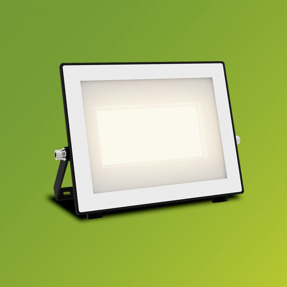 Philips LED Flutlichtstrahler Philips LED Lois 929004642001 LED-Außenstrahler 50 W Leuchtfarben: Wa