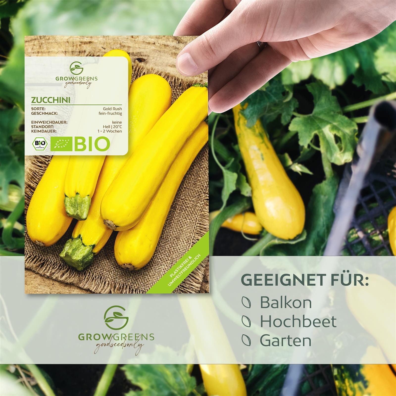 Growgreens Gemüsesamen BIO Zucchini Samen Gelb (Gold Rush) - Zucchini Saatg günstig online kaufen