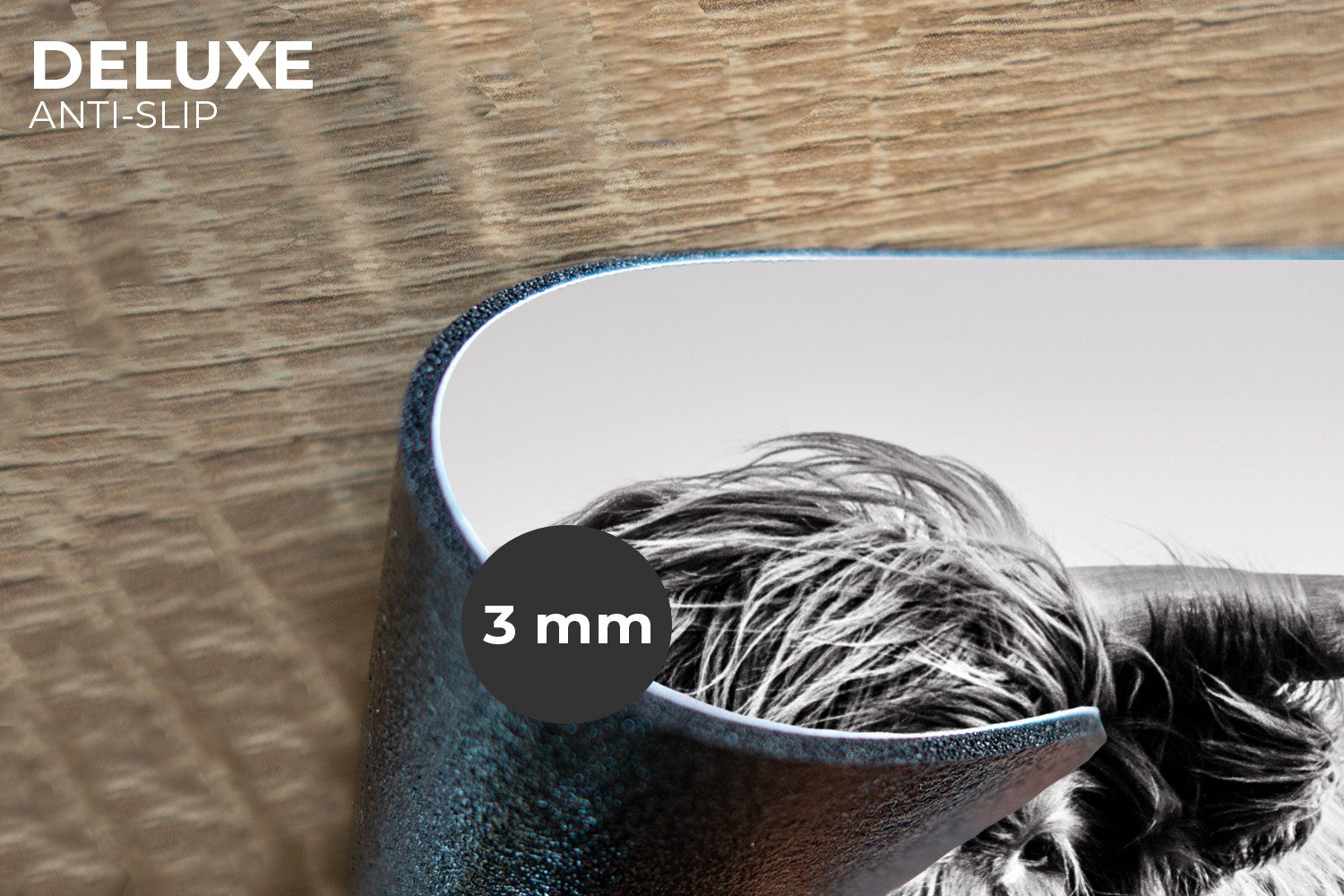 MuchoWow Platzset Kuh - Schottischer Hochländer - Schwarz - Weiß - Tier - N günstig online kaufen