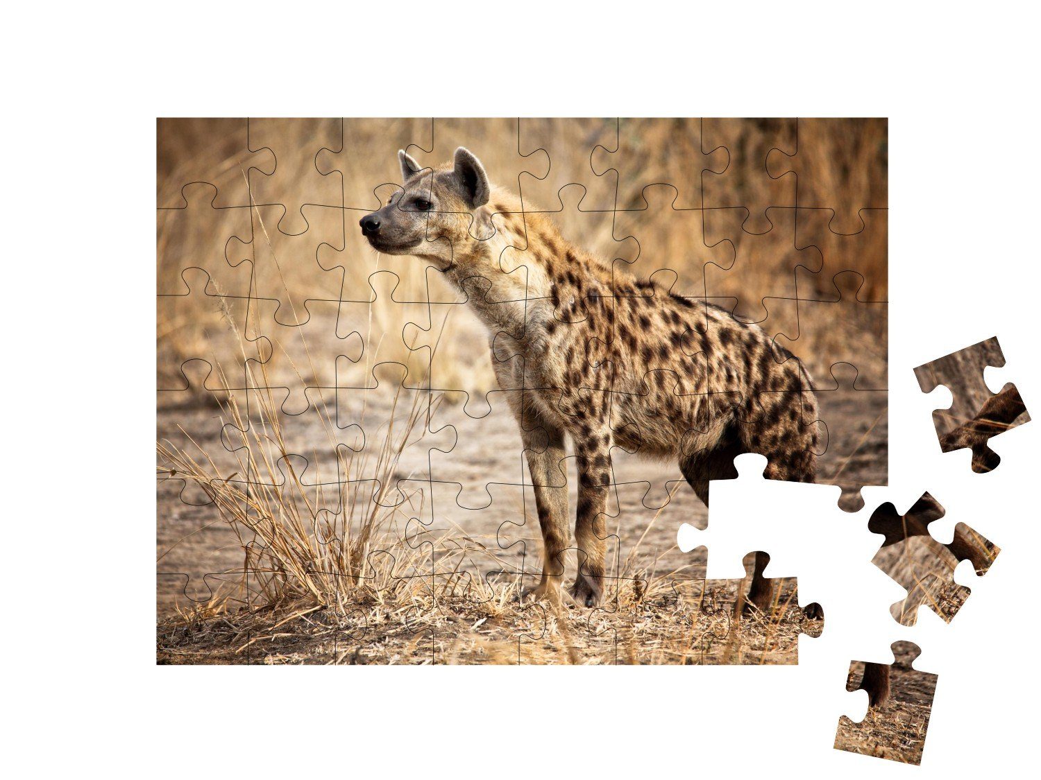 Puzzle im Savanne 48 & Luangwa-Nationalpark in Wüste Hyänen, Tiere in puzzleYOU Hyäne puzzleYOU-Kollektionen Puzzleteile, Sambia,