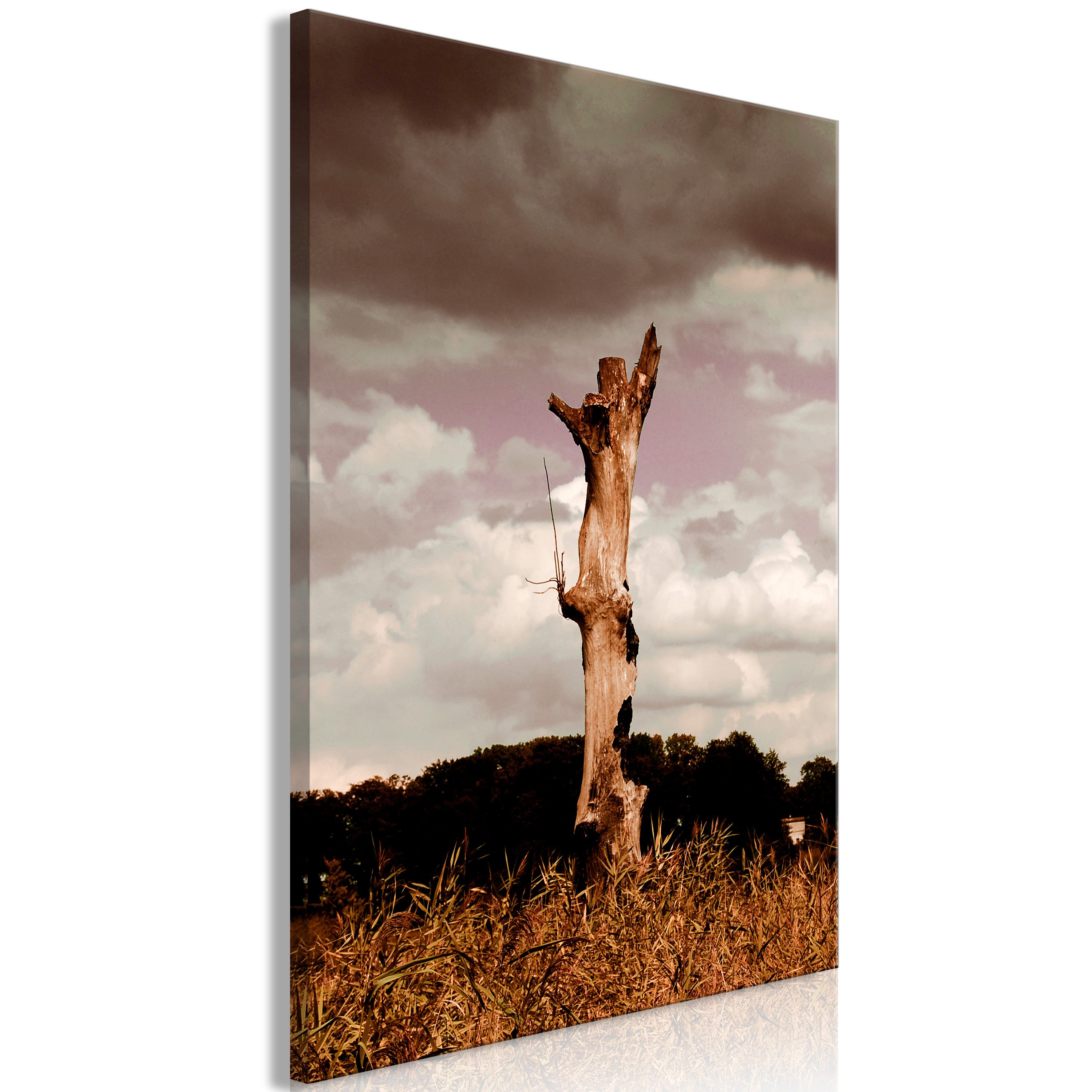 Basera® Leinwandbild b-A-0548-b-a
