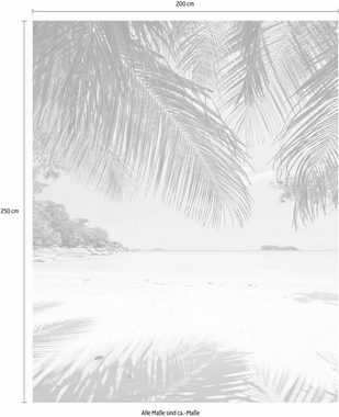Komar Vliestapete Under The Palmtree, (1 St), 200x250 cm (Breite x Höhe), Vliestapete, 100 cm Bahnbreite