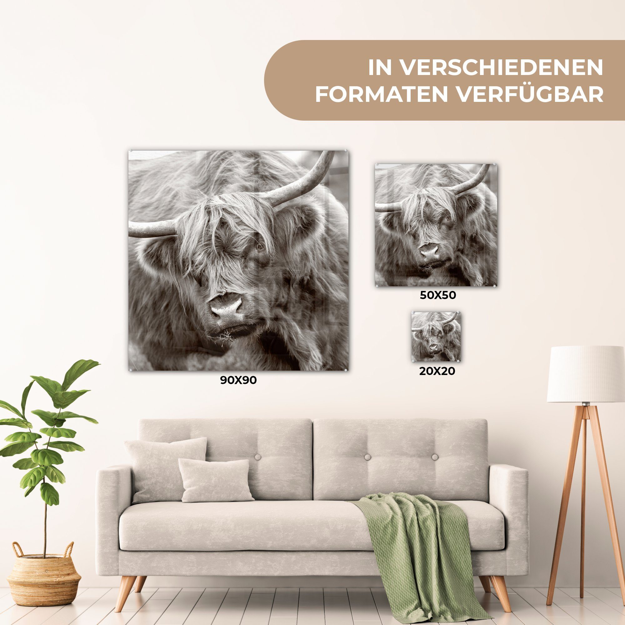 MuchoWow Acrylglasbild Schottischer Highlander Glas Schwarz für - Weiß Dekorative & St), auf - - Küche bunt (1 Bild Wohnzimmer Hörner