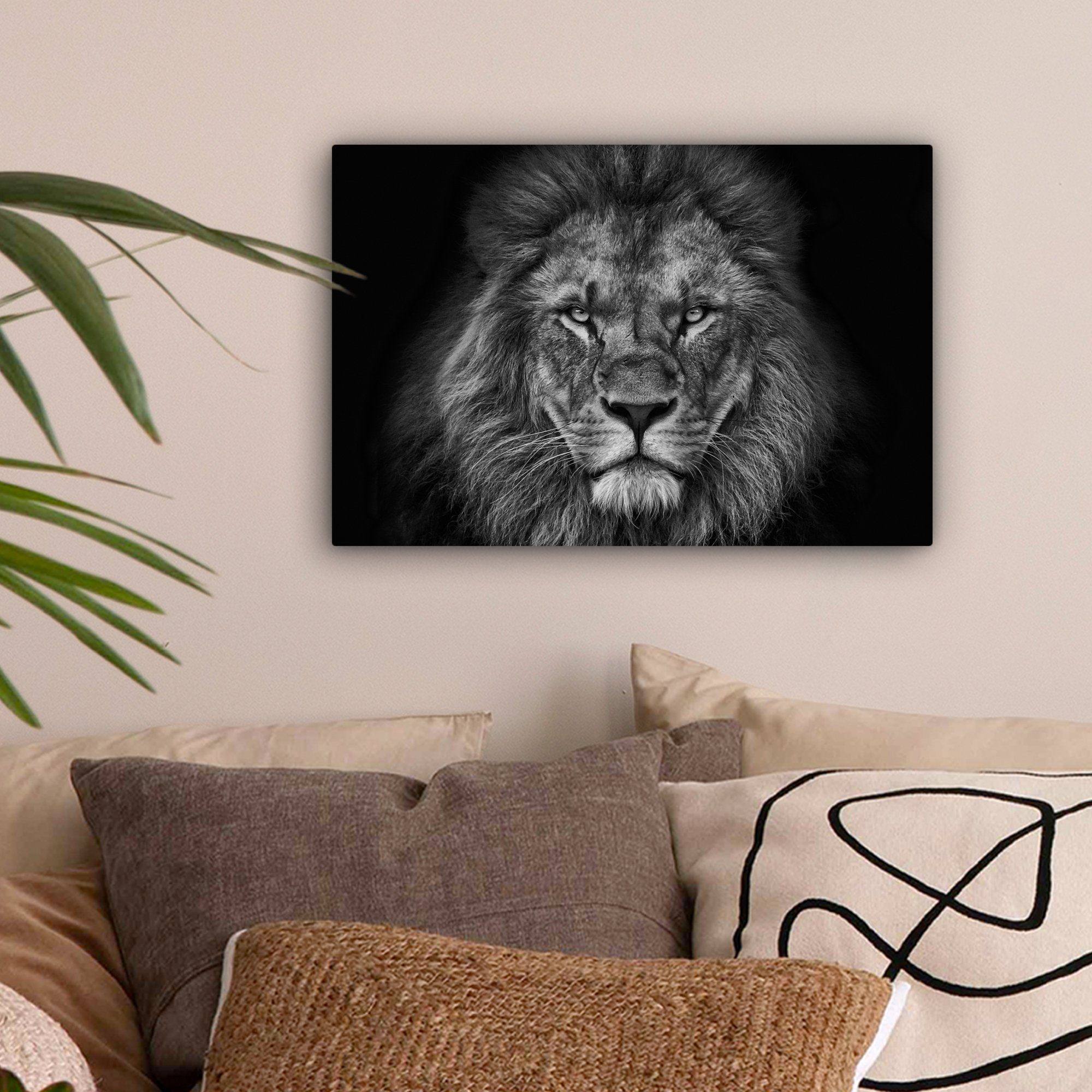 OneMillionCanvasses® Leinwandbild Löwe - Tiere - Schwarz - Weiß, Fotodruck günstig online kaufen