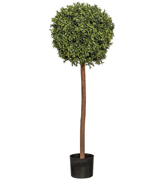 Kunstpflanze Buchskugelbaum Buchsbaum Creativ green Höhe 120 cm