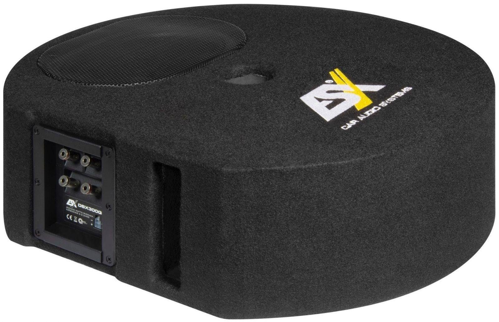 ESX DBX Reserverad Reflexbox DBX-300Q mit 400 Watt Auto-Subwoofer