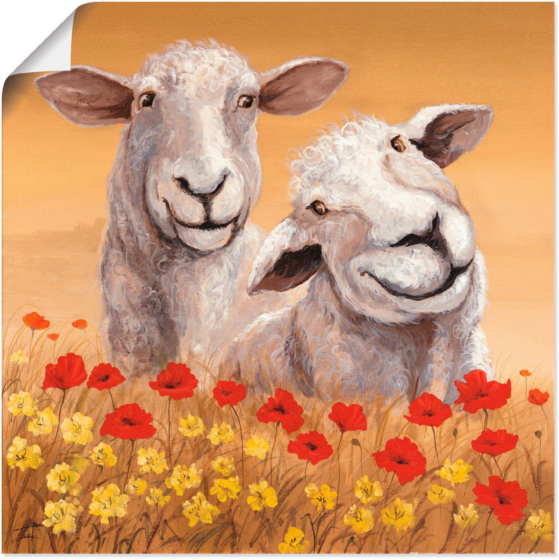 Artland Wandbild Schafe, Haustiere oder Leinwandbild, Größen in Alubild, Wandaufkleber versch. (1 Poster als St)