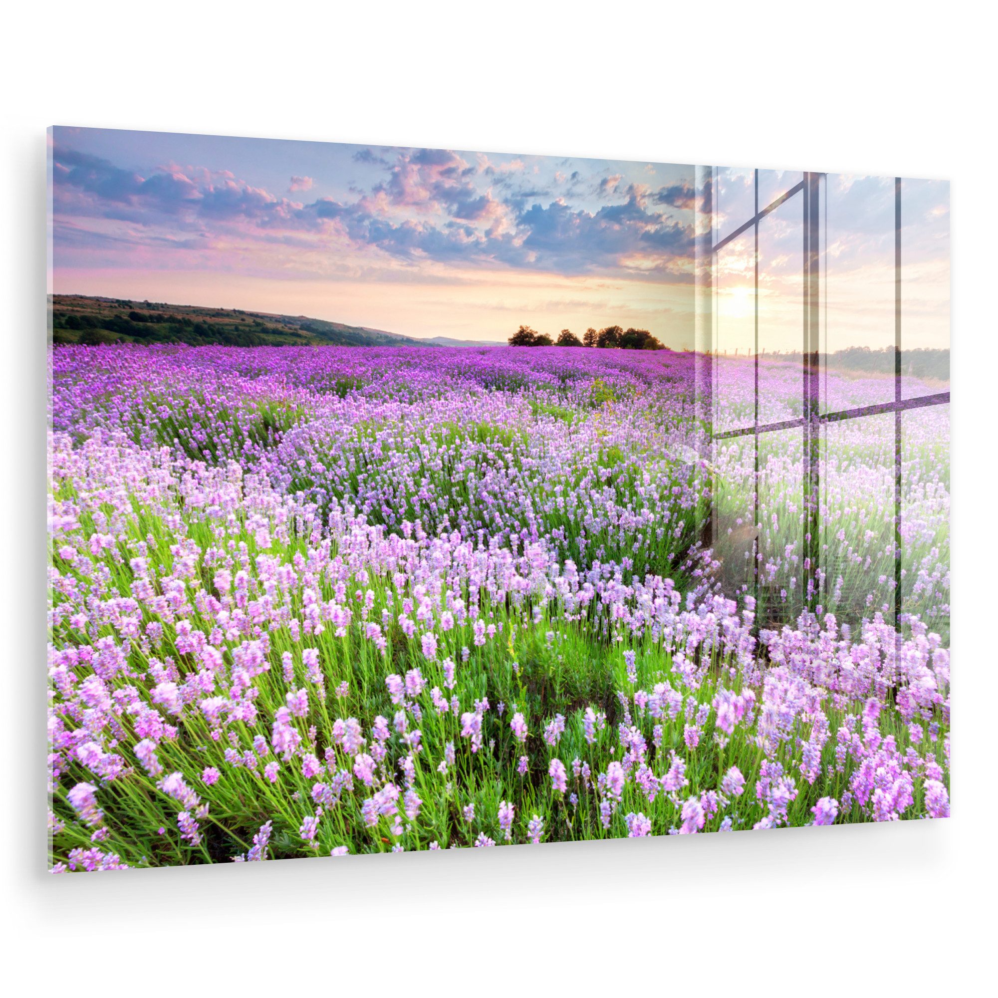 MuchoWow Acrylglasbild Blumen - Lavendel - Lila - Himmel - Sonnenuntergang - Wiese - Natur, Inkl. Aufhängung, Glasbilder Wohnzimmer, Schlafzimmer, Flur & Esszimmer, 30x20 cm