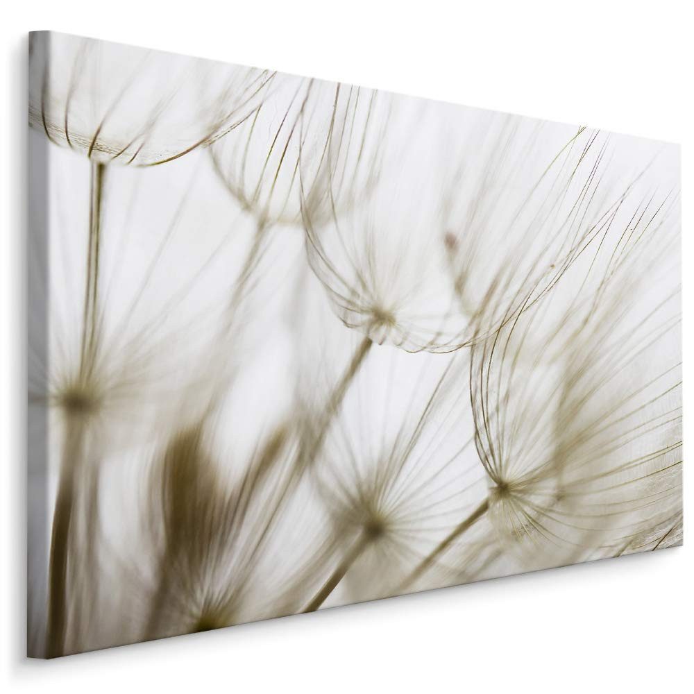 Muralo Leinwandbild Landschaft – Leinwandbild Wandbild Kunstdruck Wohnzimmer, Gewässer (1 St), Blumen – Pusteblumen – Löwenzahn, 30 x 20 cm, aufhängefertig