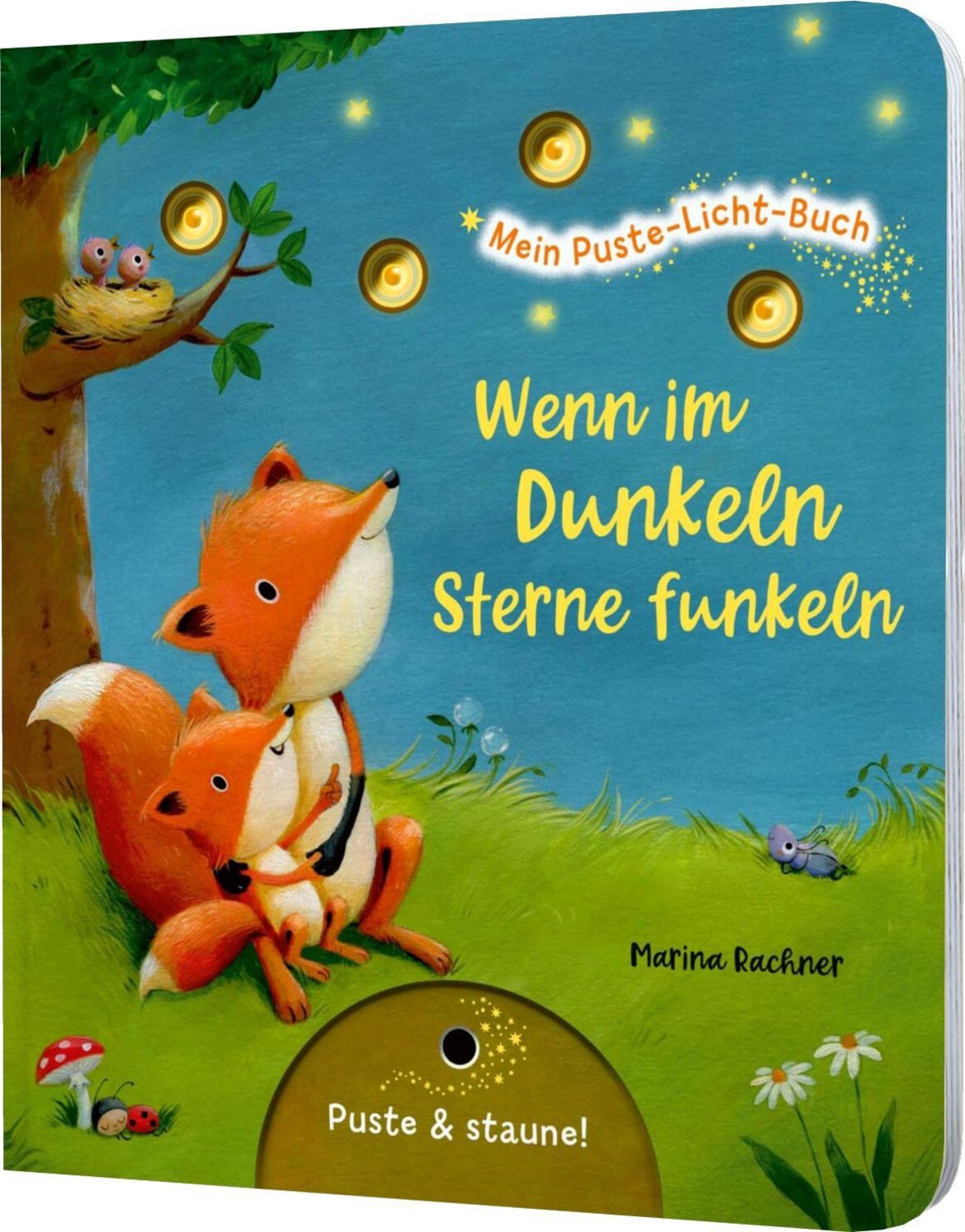 Mein Puste-Licht-Buch: Wenn im Dunkeln Sterne funkeln / Christina Nömer