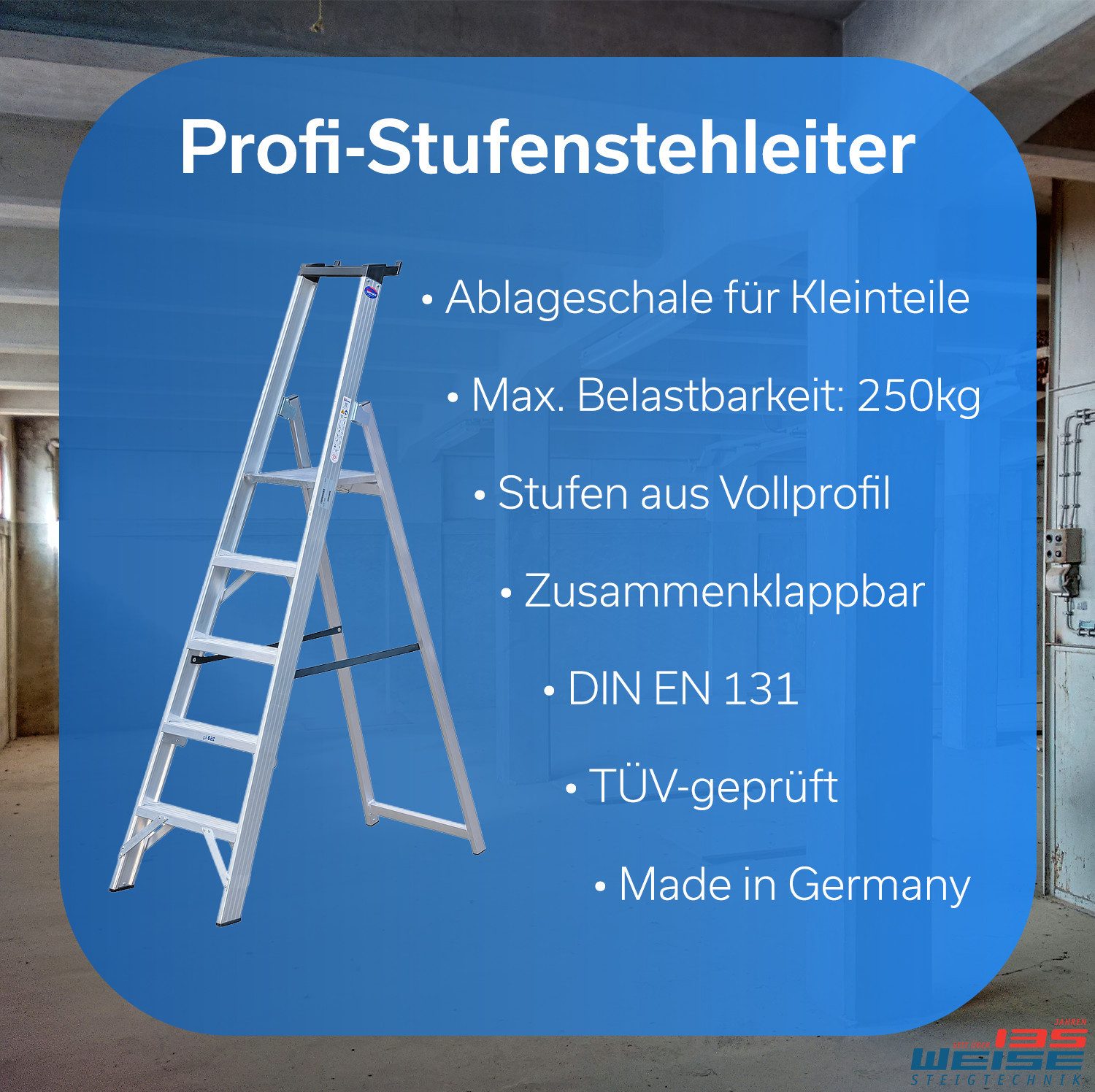 Weise Steigtechnik Stehleiter klappbare Stufenleiter mit Gurtbändern (12 Stufen, trittsichere & geriefte Stufen), Haushaltsleiter mit sicherer Plattform