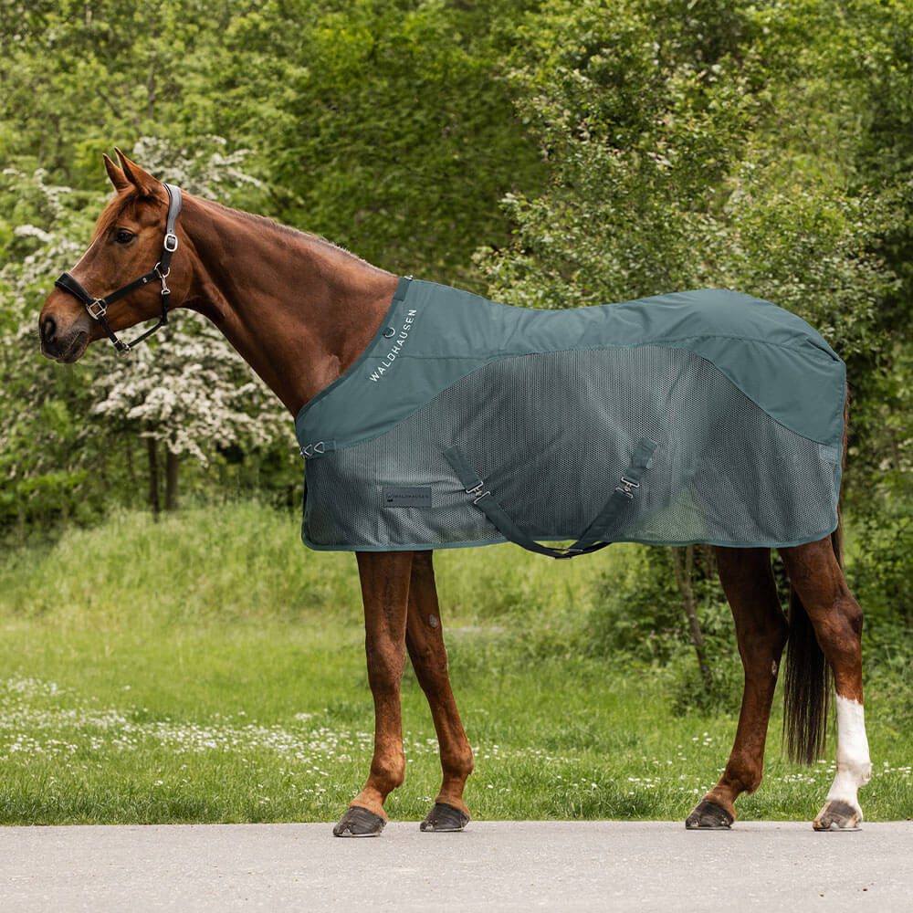 Waldhausen Pferde-Regendecke Waldhausen Comfort Regen-Fliegendecke
