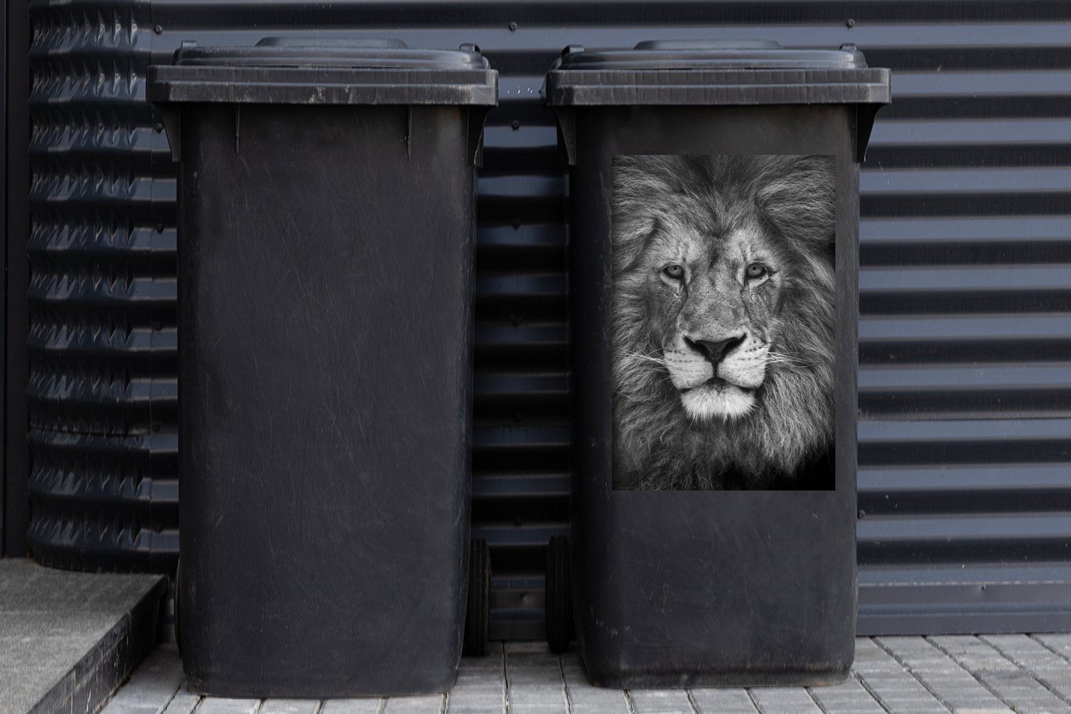 Mülleimer-aufkleber, Container, - Sticker, Wandsticker MuchoWow (1 - Abfalbehälter Mülltonne, St), Porträt Schwarz Löwe