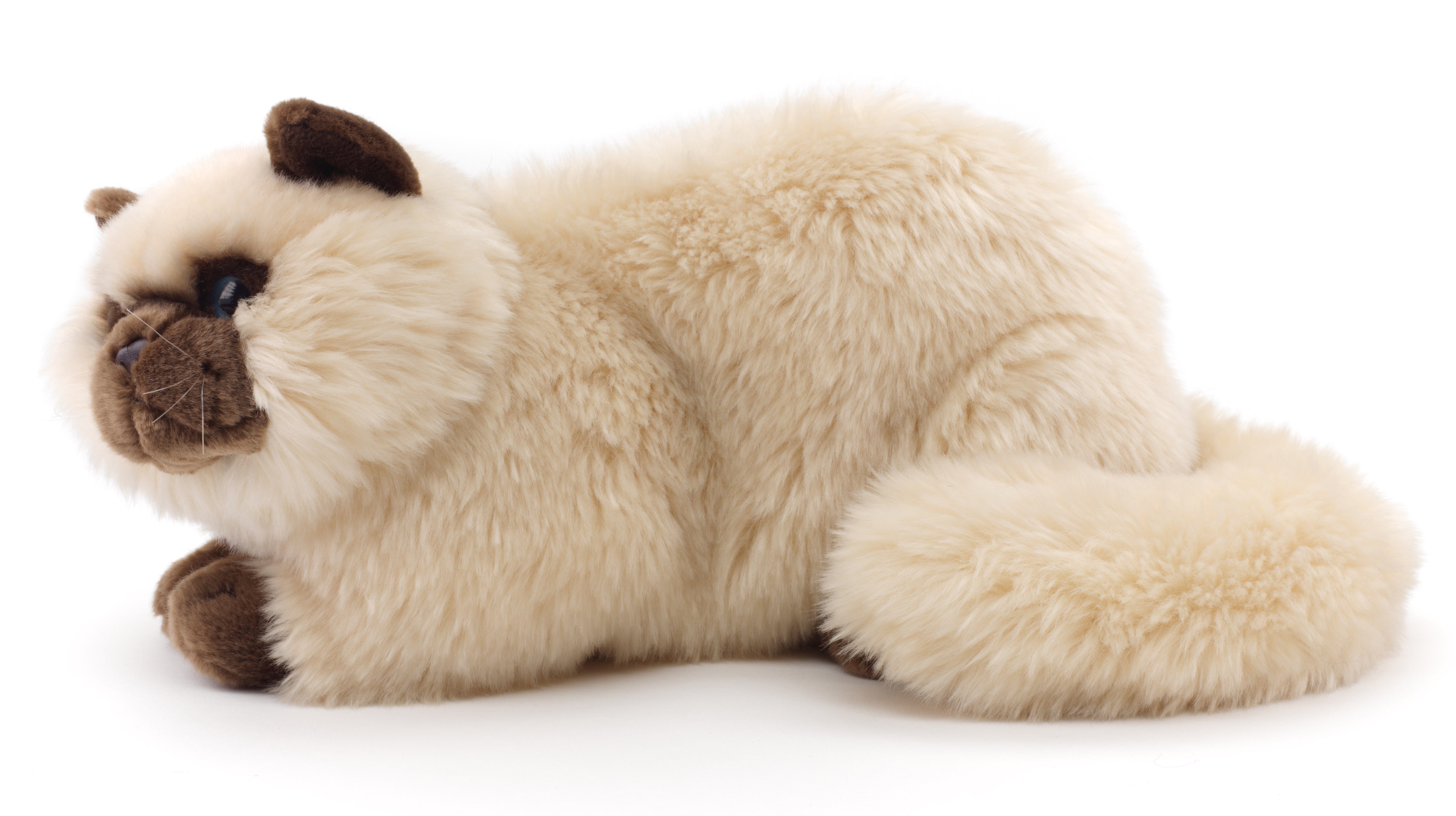 Uni-Toys Kuscheltier Perserkatze, liegend - 31 cm (Länge) - Plüsch-Katze, P günstig online kaufen