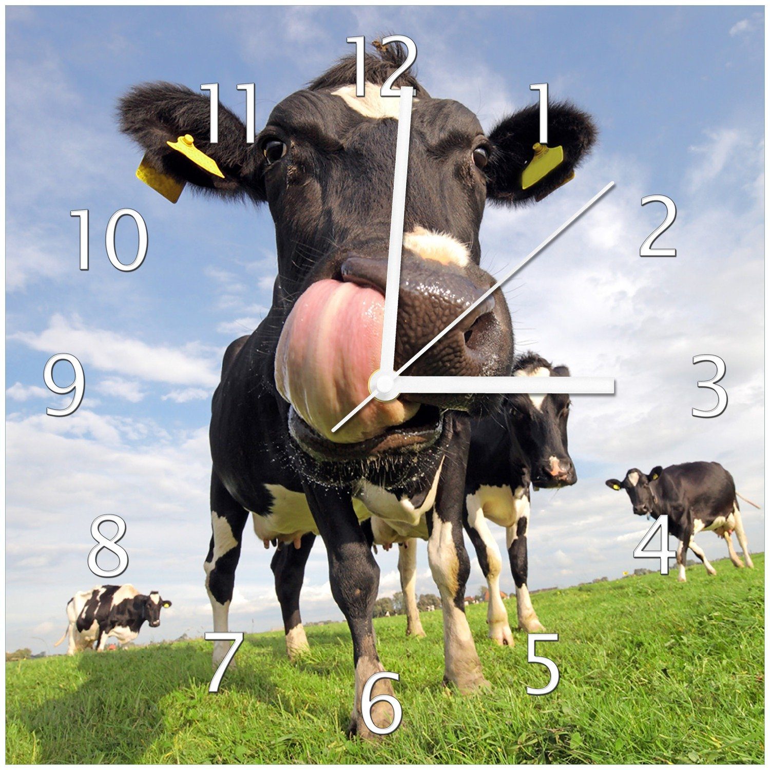 Wallario Wanduhr Lustige Kuh auf der Weide mit herausgestreckter Zunge (Glasuhr) | Wanduhren