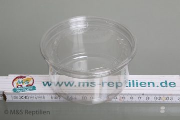 M&S Reptilien Terrarium Becher mit Deckel small / niedrig, Höhe 4cm (passend zu Eiablagebeh