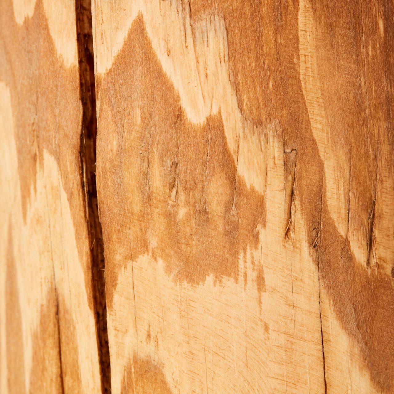 Jimena Brilliant Tischleuchte kiefer Jimena, 1x gebeizt, Tischleuchte Holz/Textil, 2 Lampe, A60, E27,