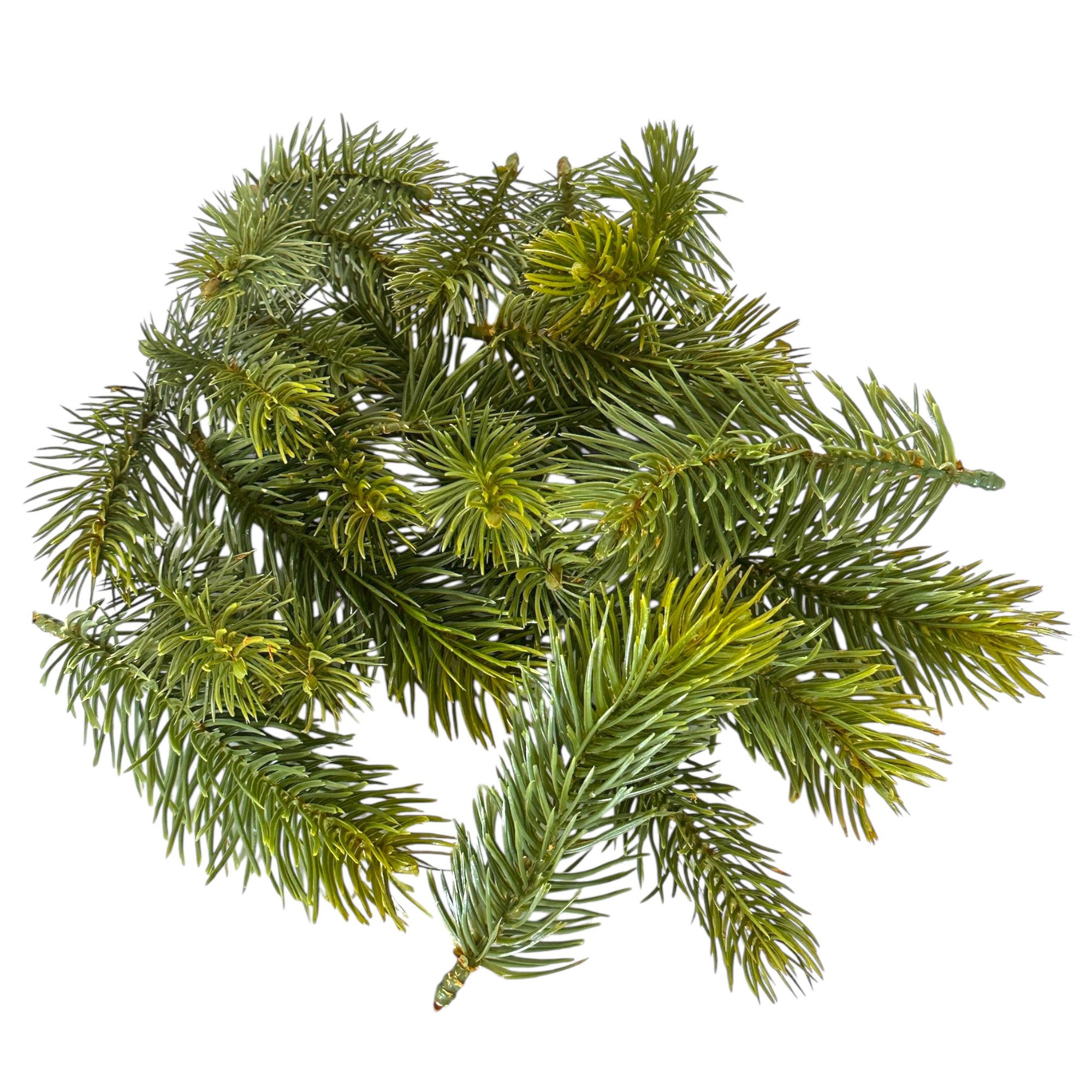 naninoa GmbH Streudeko Deko-Tannenstreu aus Kunststoff 24 Teile. Größe 8, 10, 13cm.