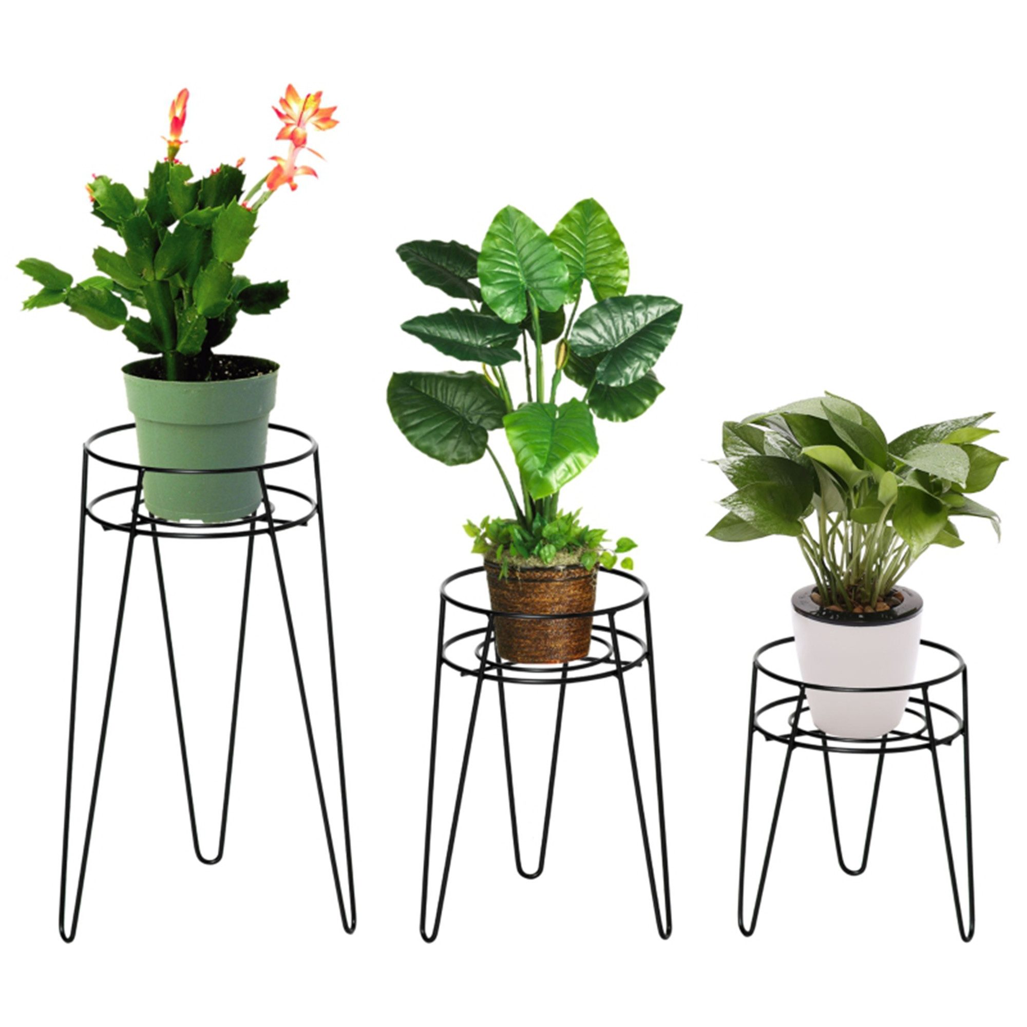 Blumenständer 3er Set aus Metall Pflanzenständer für Blumentöpfe bis Ø16 cm