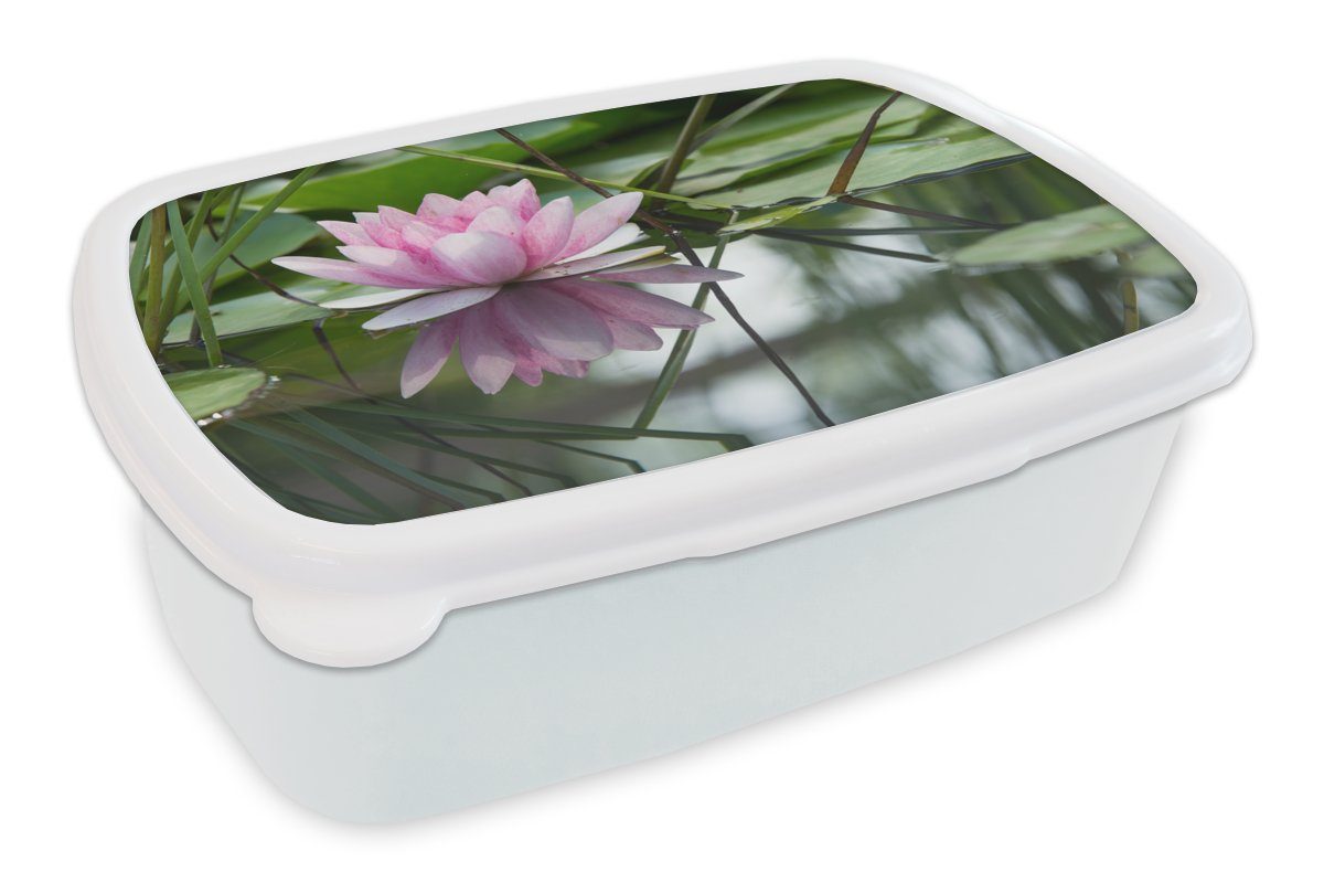MuchoWow Lunchbox Blumen - Lotus - Wasser, Kunststoff, (2-tlg), Brotbox für Kinder und Erwachsene, Brotdose, für Jungs und Mädchen weiß