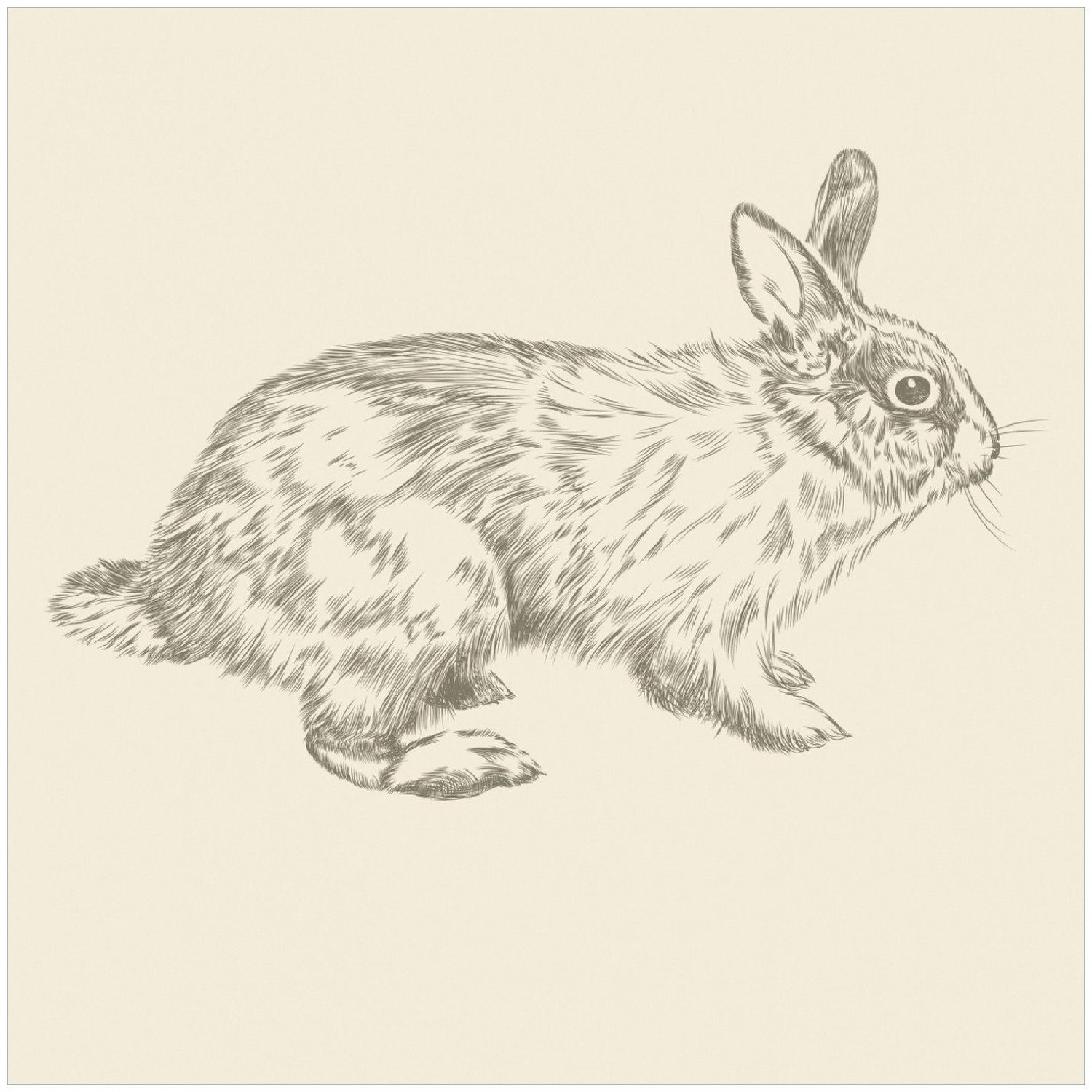 Wallario Memoboard Hase als illustrierte Bleistiftzeichnung