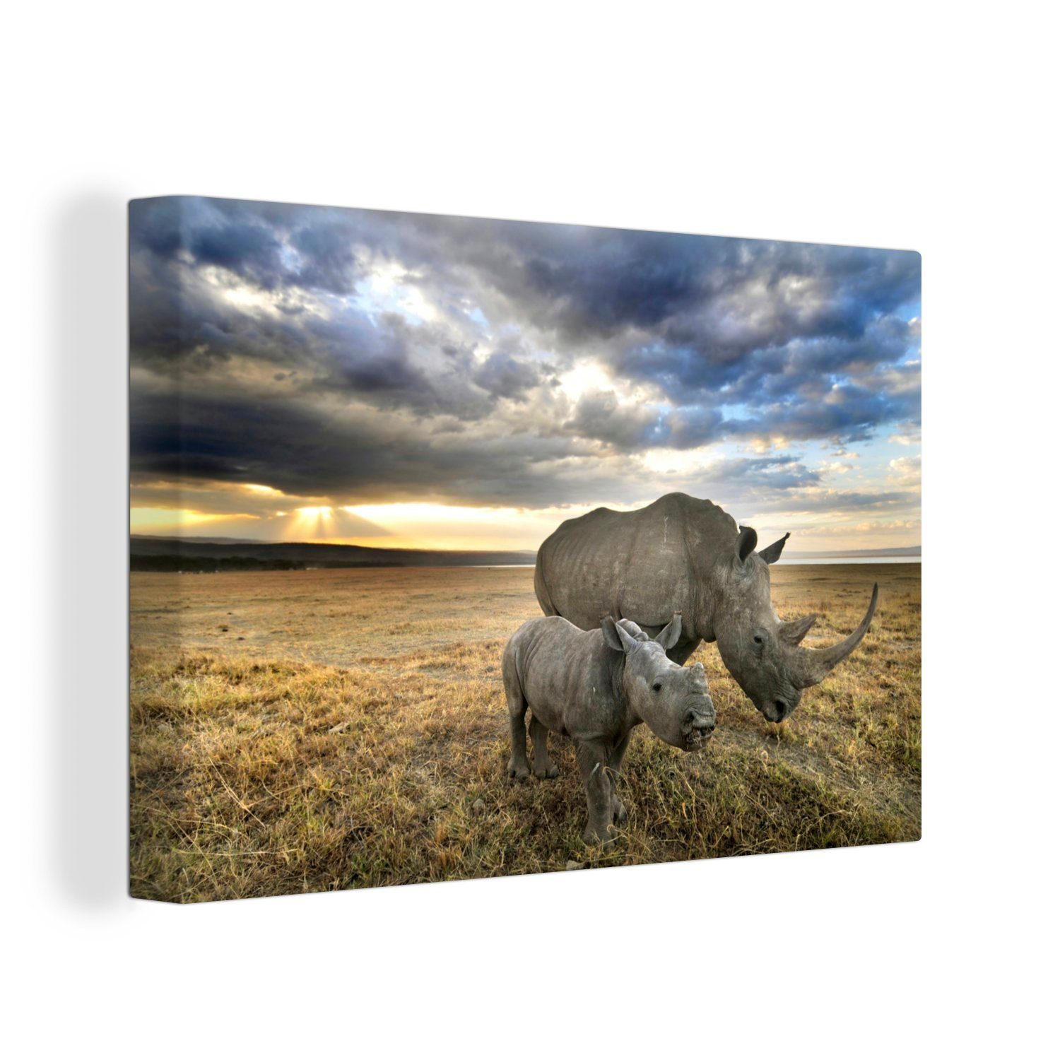 OneMillionCanvasses® 30x20 Leinwandbild Tiere, Kalb Aufhängefertig, Leinwandbilder, cm St), Rhinozeros (1 - Wanddeko, Wandbild -