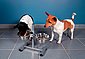 TRIXIE Futterstation »Hundebar«, Edelstahl, 2 x 750 ml, Ø 17 cm, Bild 1