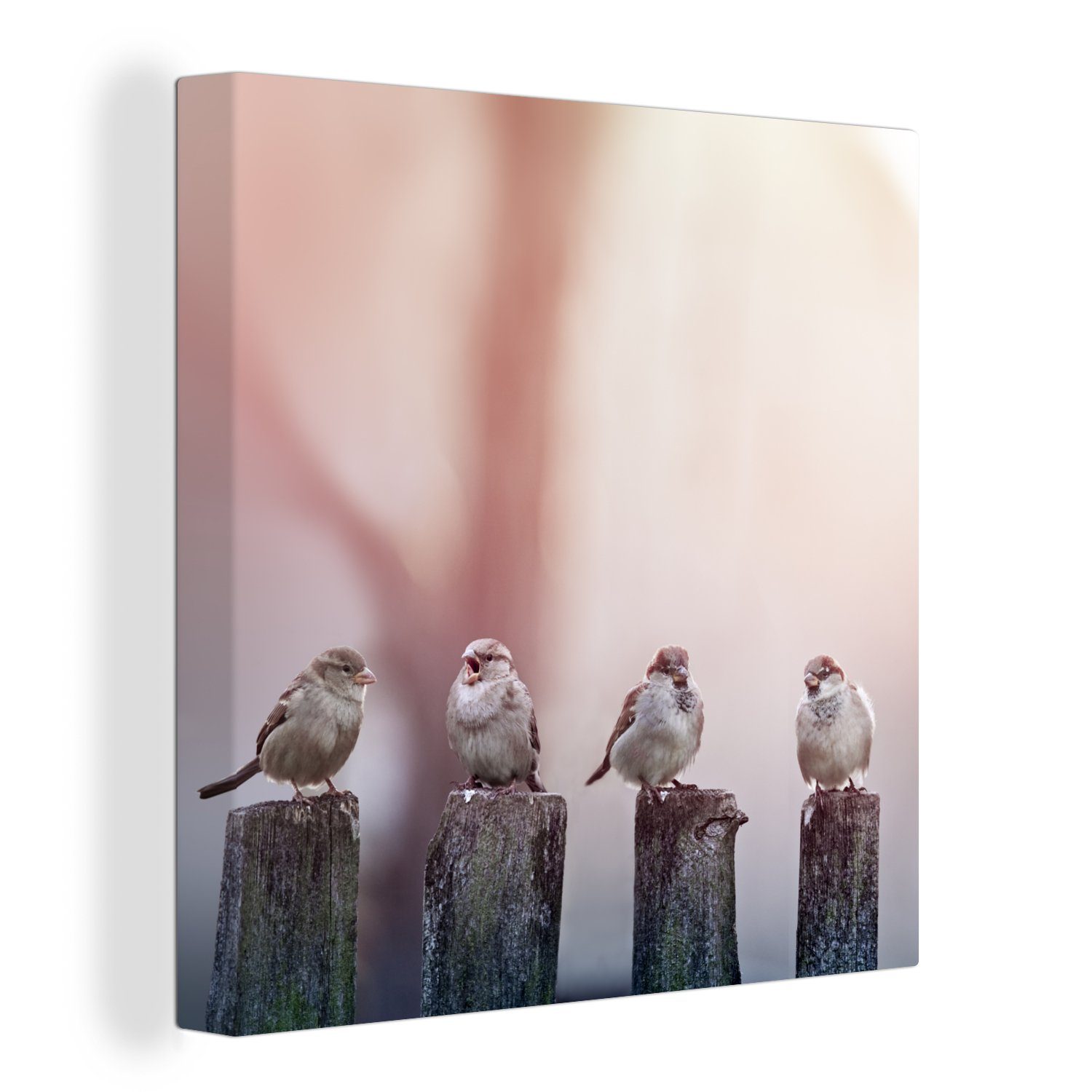 OneMillionCanvasses® Leinwandbild Vögel - Spatzen - Pfähle - Holz, (1 St), Leinwand Bilder für Wohnzimmer Schlafzimmer