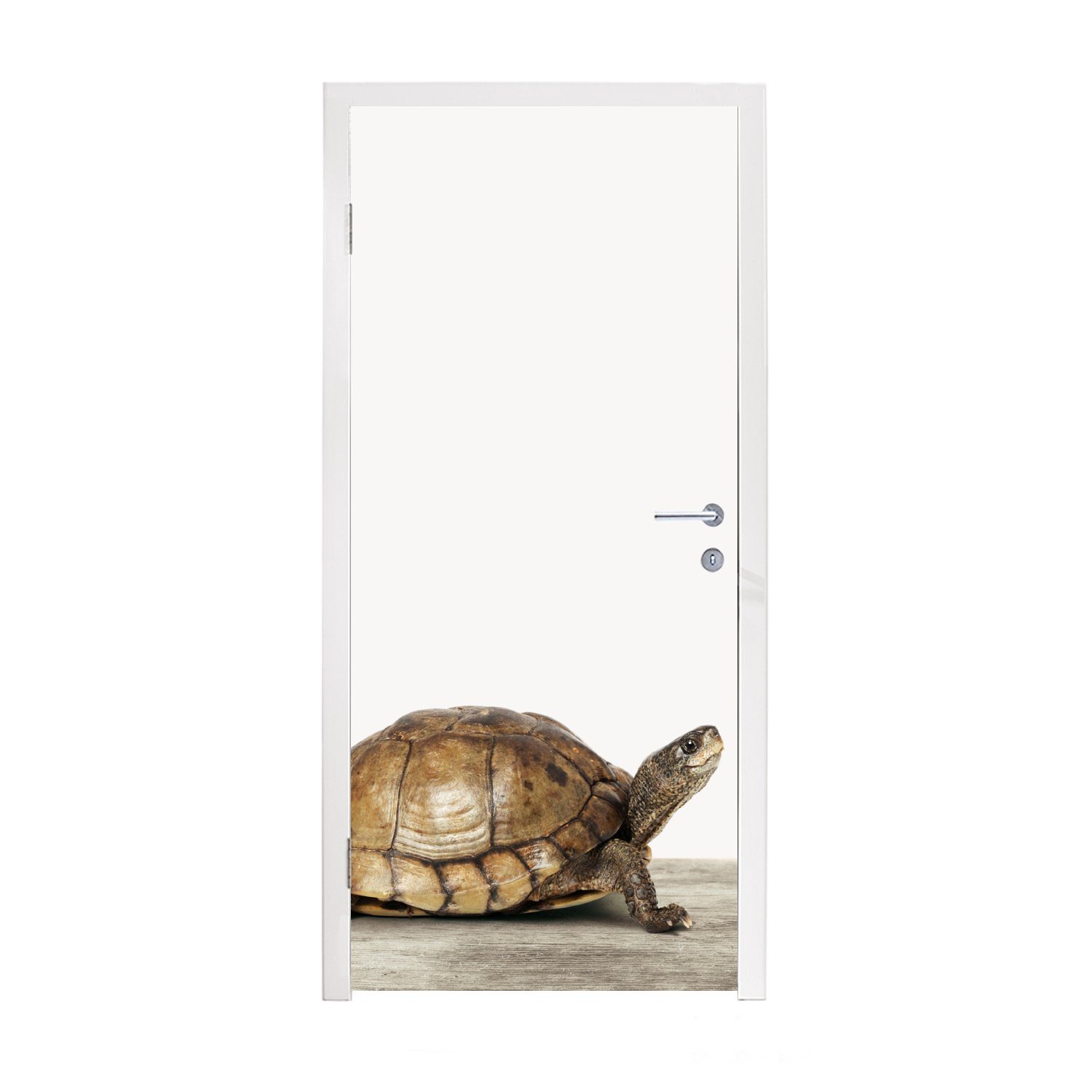 MuchoWow Türtapete Schildkröte - Junge - Tiere - Kinder - Mädchen, Matt, bedruckt, (1 St), Fototapete für Tür, Türaufkleber, 75x205 cm