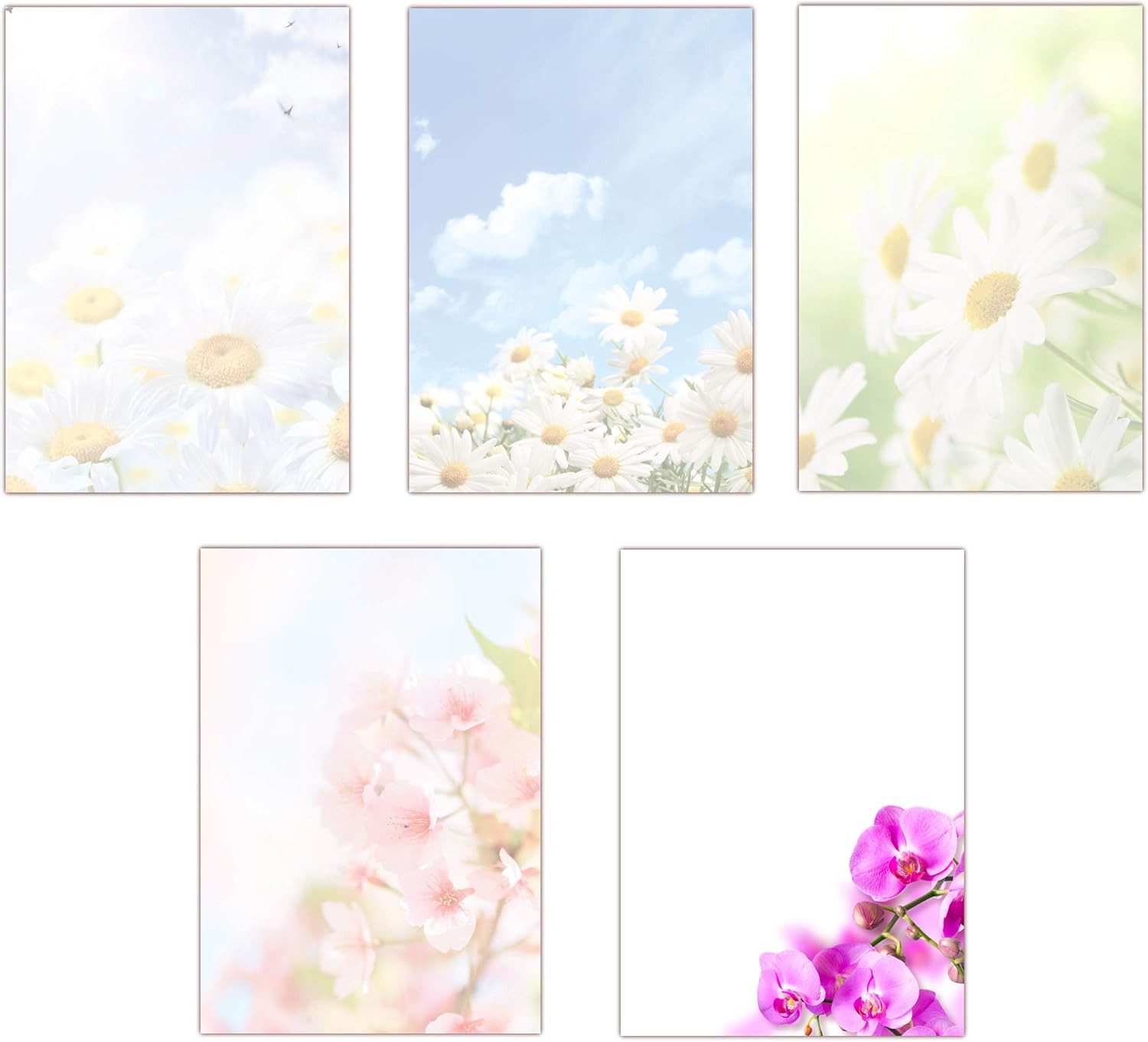LYSCO Briefpapier Set Motivpapier Blumen Margeriten Kirschblüten Orchideen (MPA-5221), florales Flair für alle Drucker geeignet - Sets 5x5 oder 5x10 Blatt