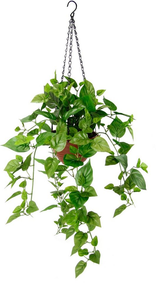 Kunstpflanze Efeutute, my home, Höhe 96 cm, Im Topf, mit Hängeampel,  künstliche Hängepflanze