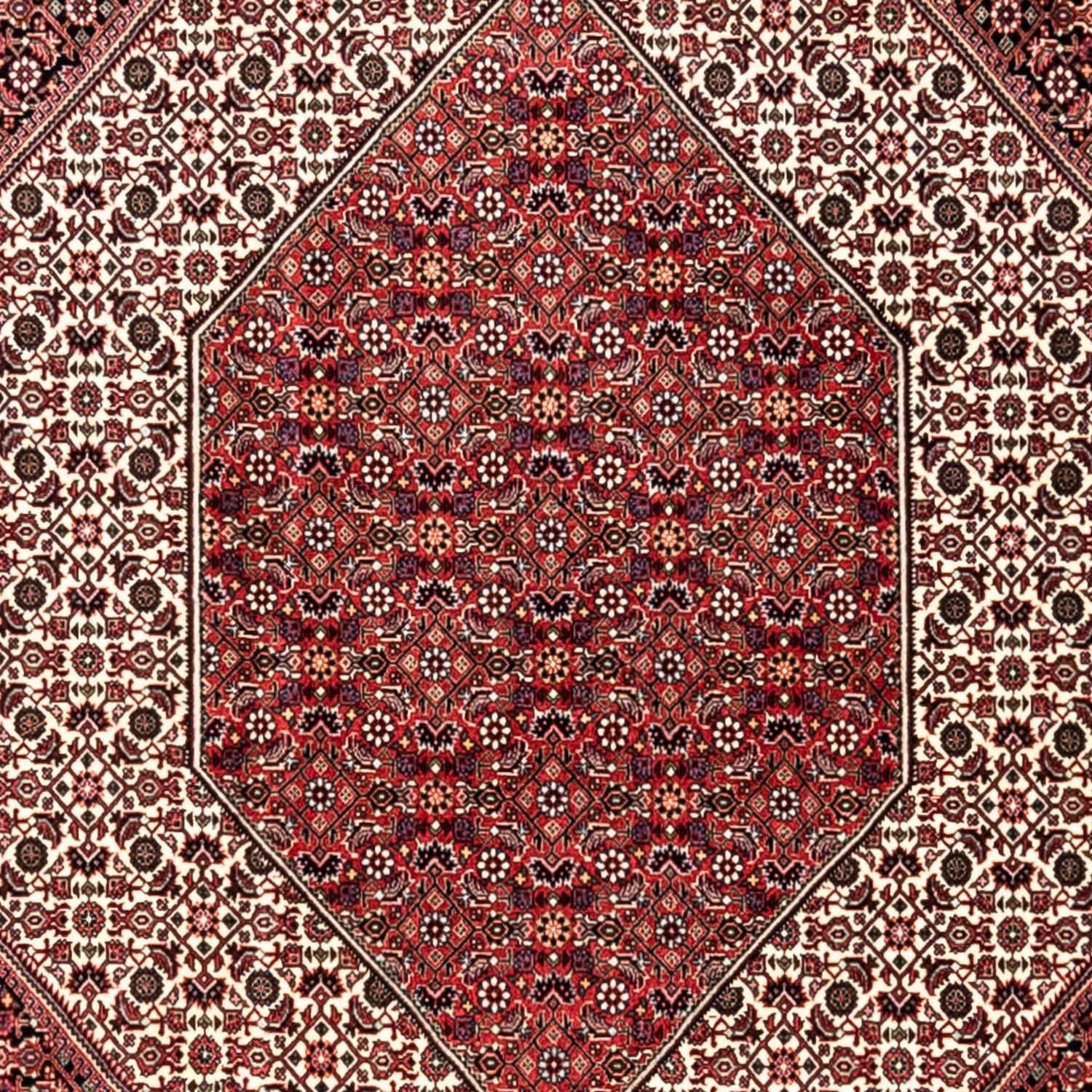 Unikat mit Bidjar x morgenland, Medaillon rechteckig, cm, Rosso 13 Höhe: Zertifikat Wollteppich 353 mm, Takab 250