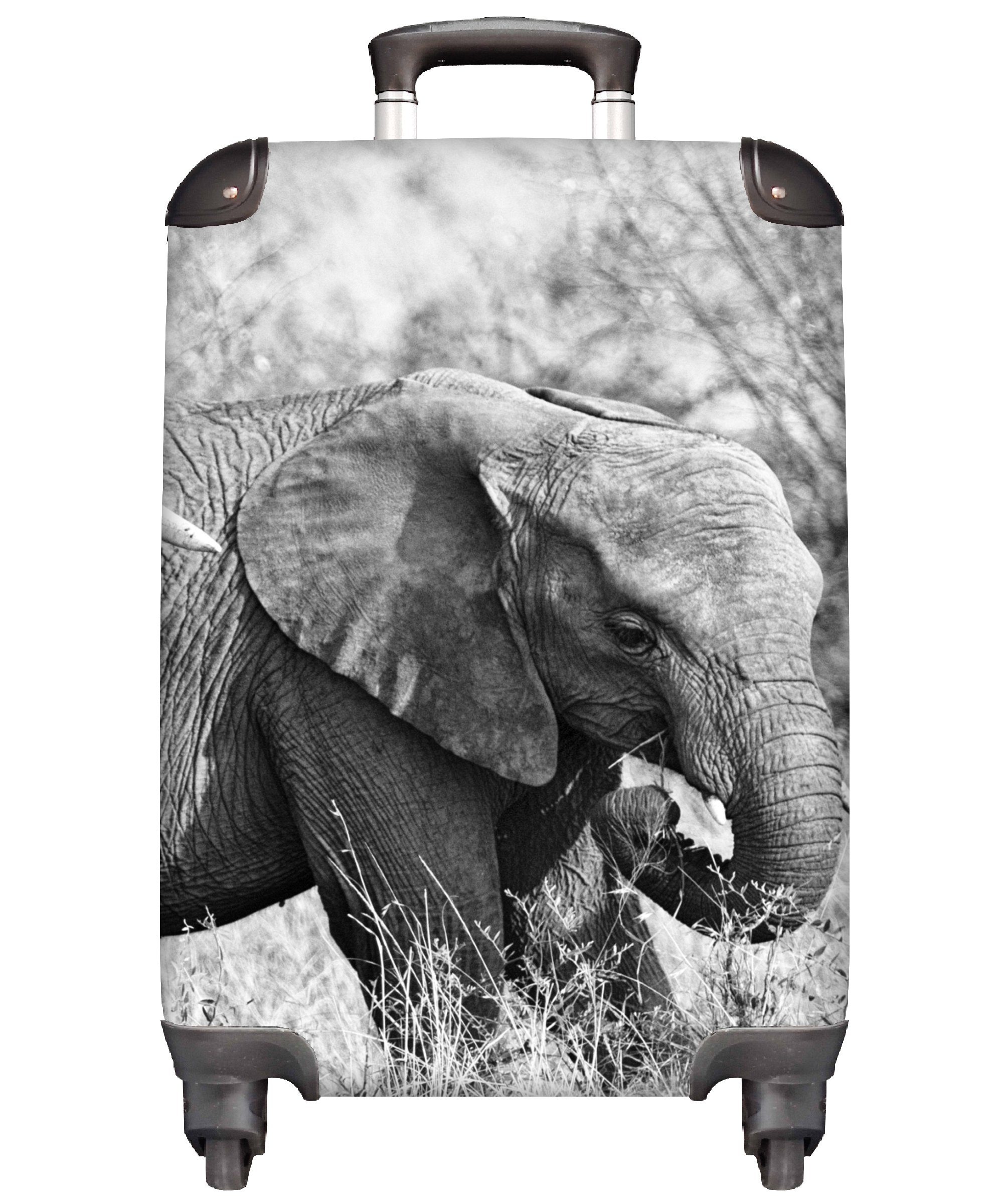 MuchoWow Handgepäckkoffer Elefant Gras Ferien, 4 mit Trolley, Handgepäck Tiere - weiß, Reisekoffer rollen, - Schwarz - Reisetasche Rollen, und für