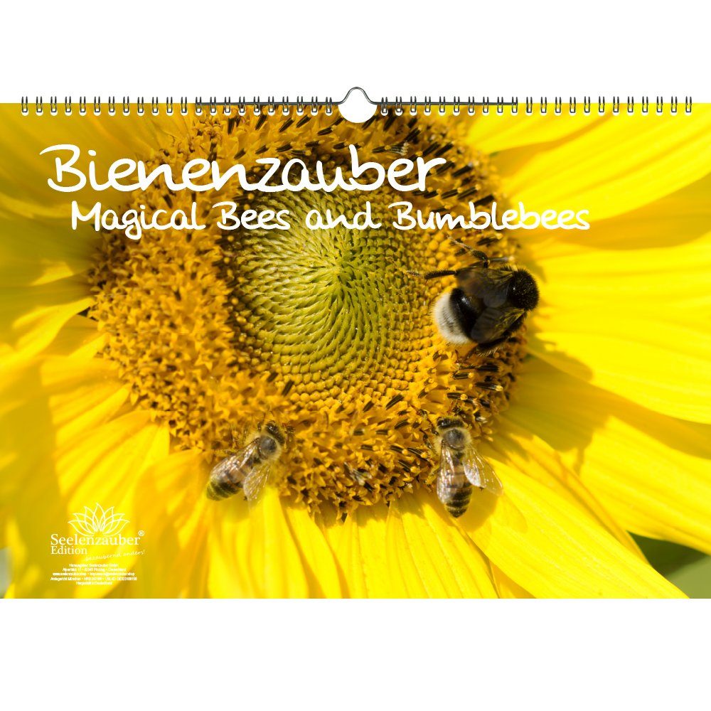 Seelenzauber ewige Kalender »Bienenzauber Bienen und Hummeln 