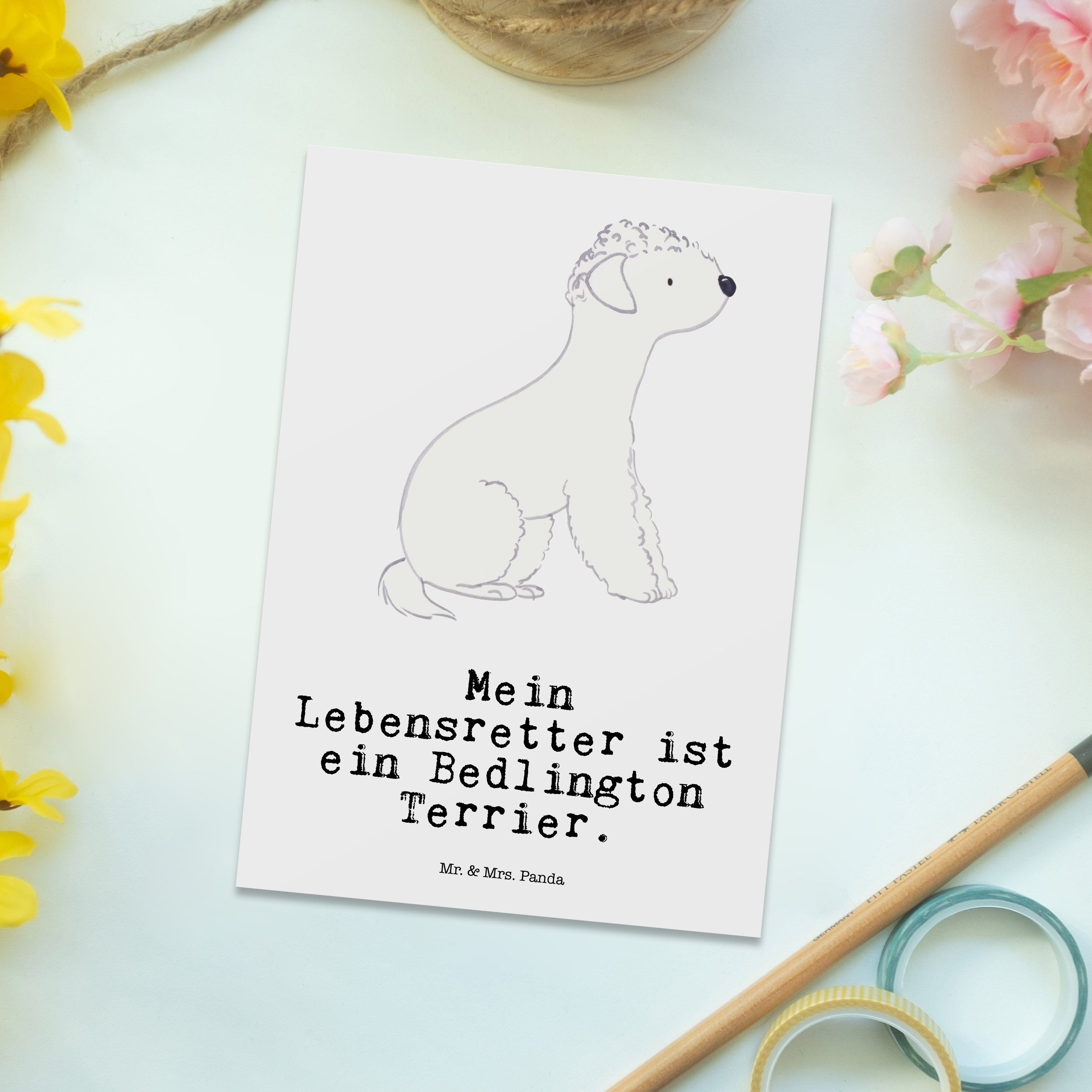 Postkarte Ansichtskarte, Terrier Kar - Mr. - Weiß Panda Geschenk, & Bedlington Mrs. Lebensretter