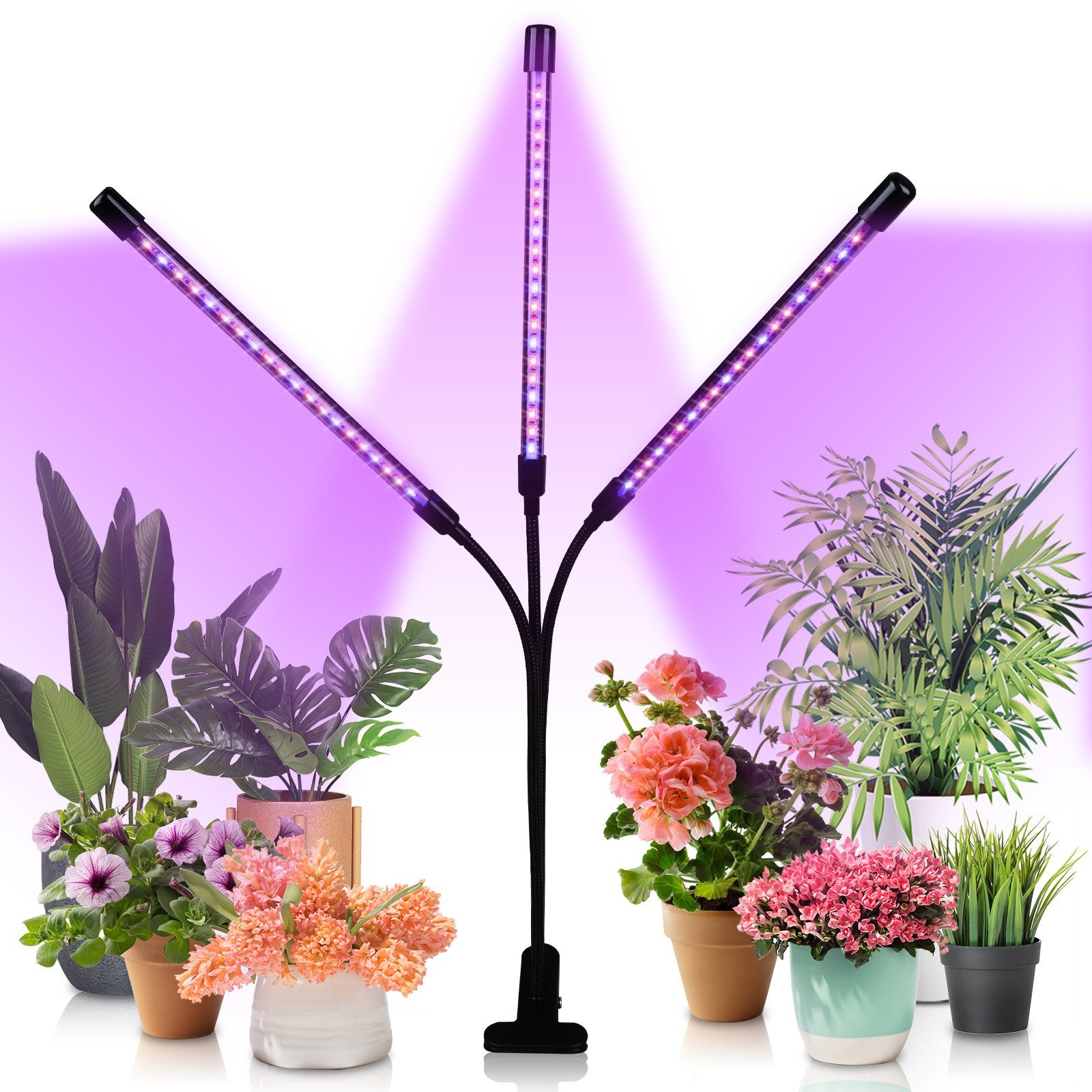 Lospitch Pflanzenlampe 3 Kopf LED Pflanzenlicht Vollspektrum Dimmbar 30W Wachstumslampe