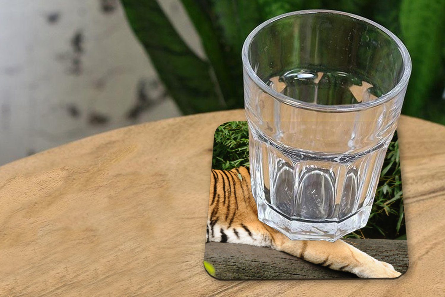 MuchoWow Glasuntersetzer Tiger - Zubehör Baum Korkuntersetzer, Untersetzer, Blätter, - 6-tlg., Tasse Glasuntersetzer, Tischuntersetzer, Gläser, für