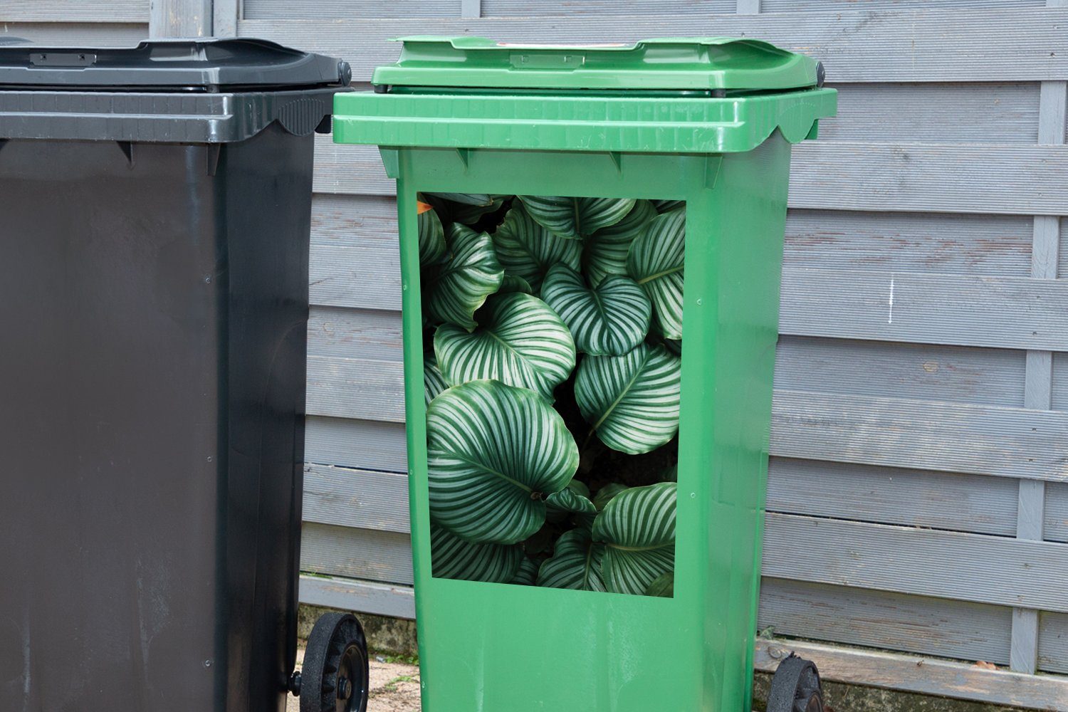 Abfalbehälter Mülltonne, Sticker, Porträt - MuchoWow St), Mülleimer-aufkleber, Blätter - (1 Container, Wandsticker Pflanzen