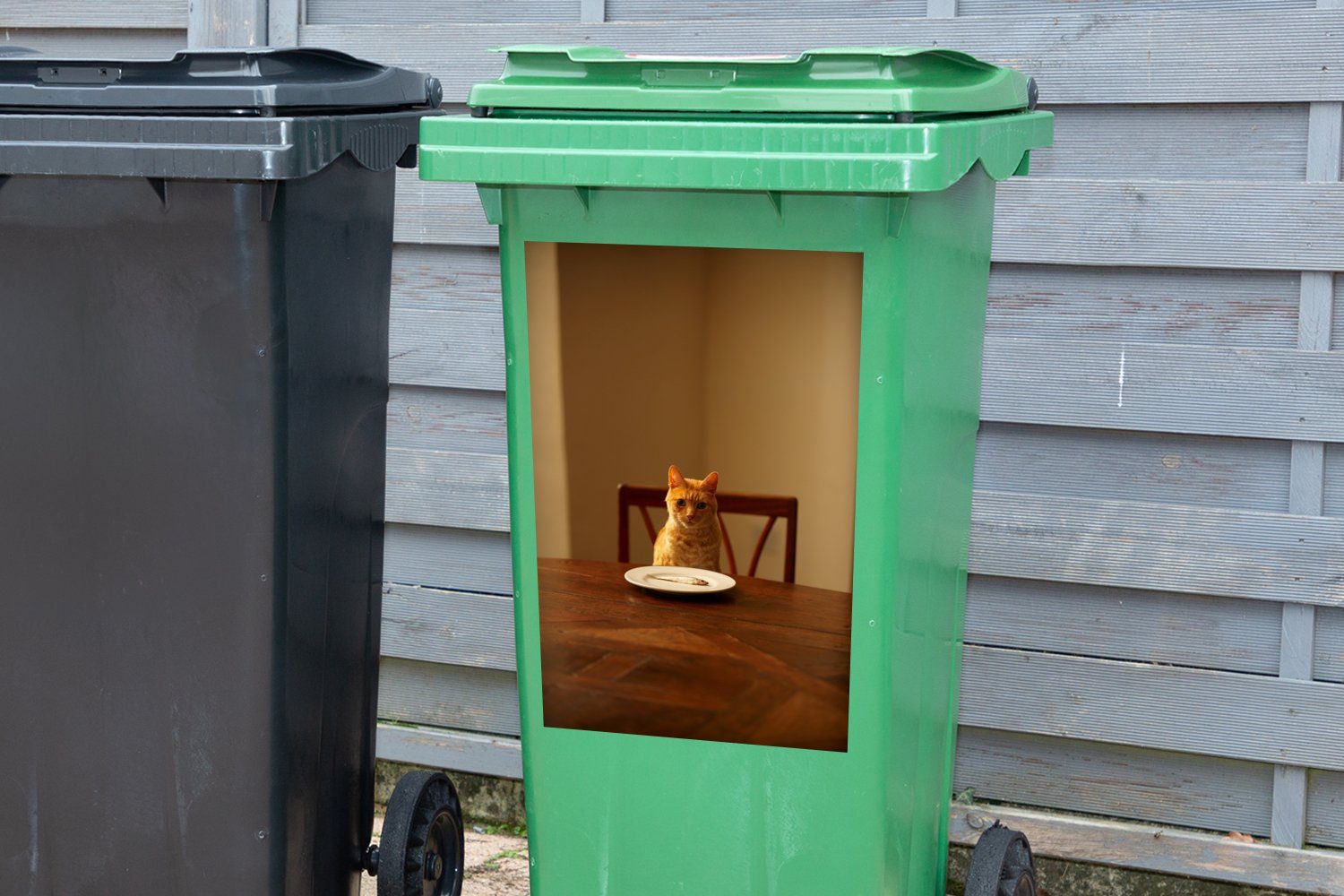 Wandsticker Mülleimer-aufkleber, Container, Esstisch - (1 Teller Katze Mülltonne, Abfalbehälter St), Sticker, - MuchoWow
