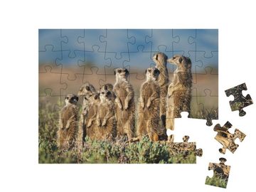 puzzleYOU Puzzle Erdmännchen-Familie in Südafrika, 48 Puzzleteile, puzzleYOU-Kollektionen Erdmännchen, Tiere in Savanne & Wüste