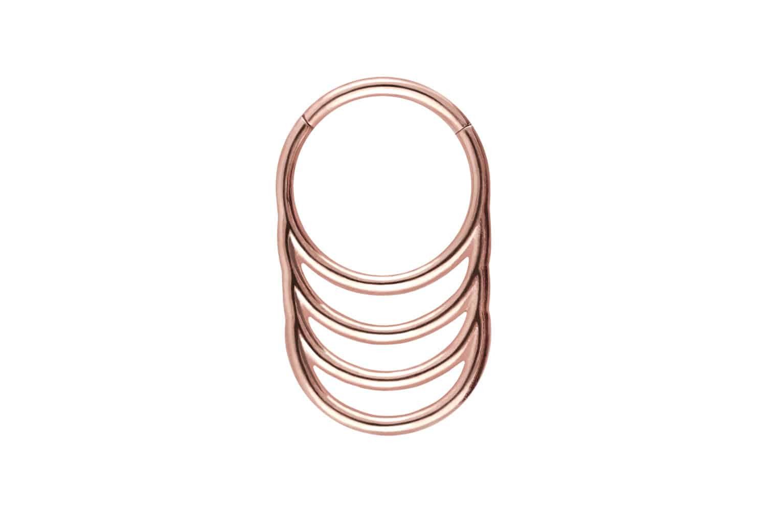 Nasenpiercing Chirurgenstahl Segmentring Clicker 4 RINGE Ohrpiercing Septum Nase