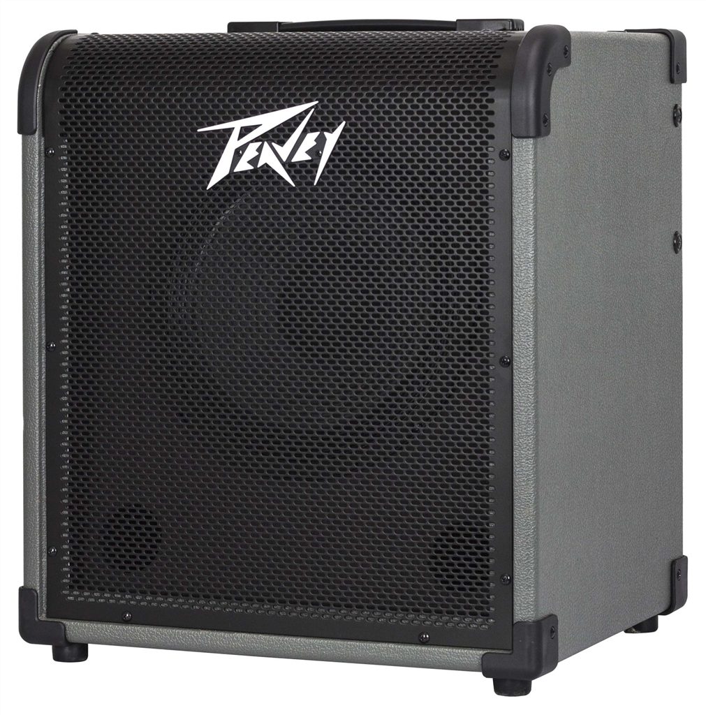Peavey E-Gitarre Peavey MAX 100